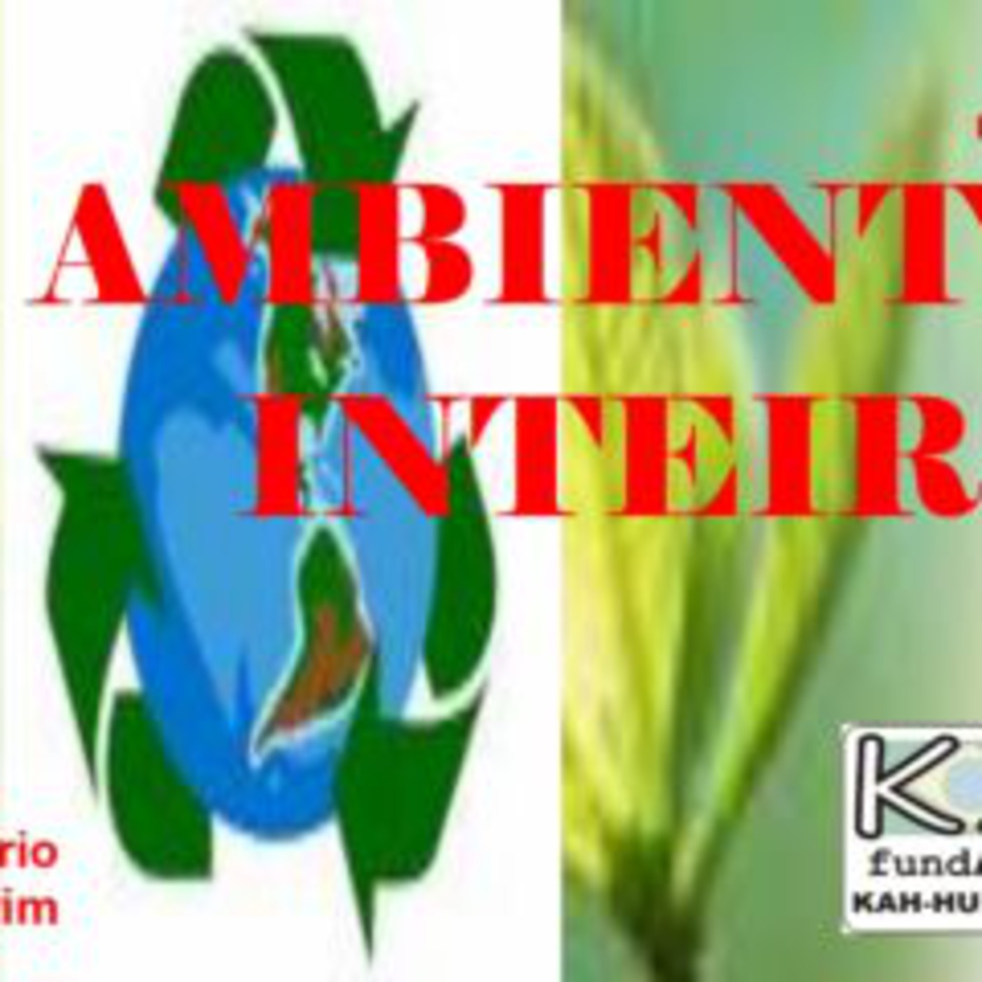 OFICINATIVA