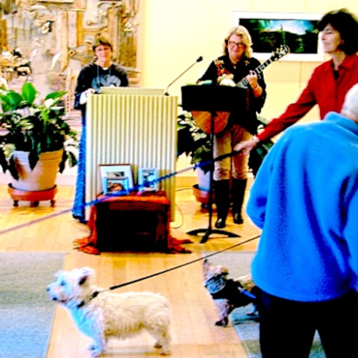 UUCSF-Unitarian Universalist Sermon- Oct. 26, 2014 episode artwork