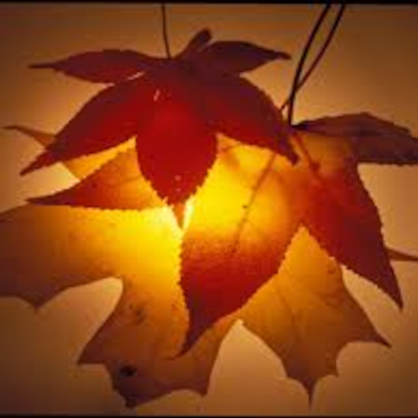 UUCSF- Unitarian Universalist Sermon- Nov. 30, 2014