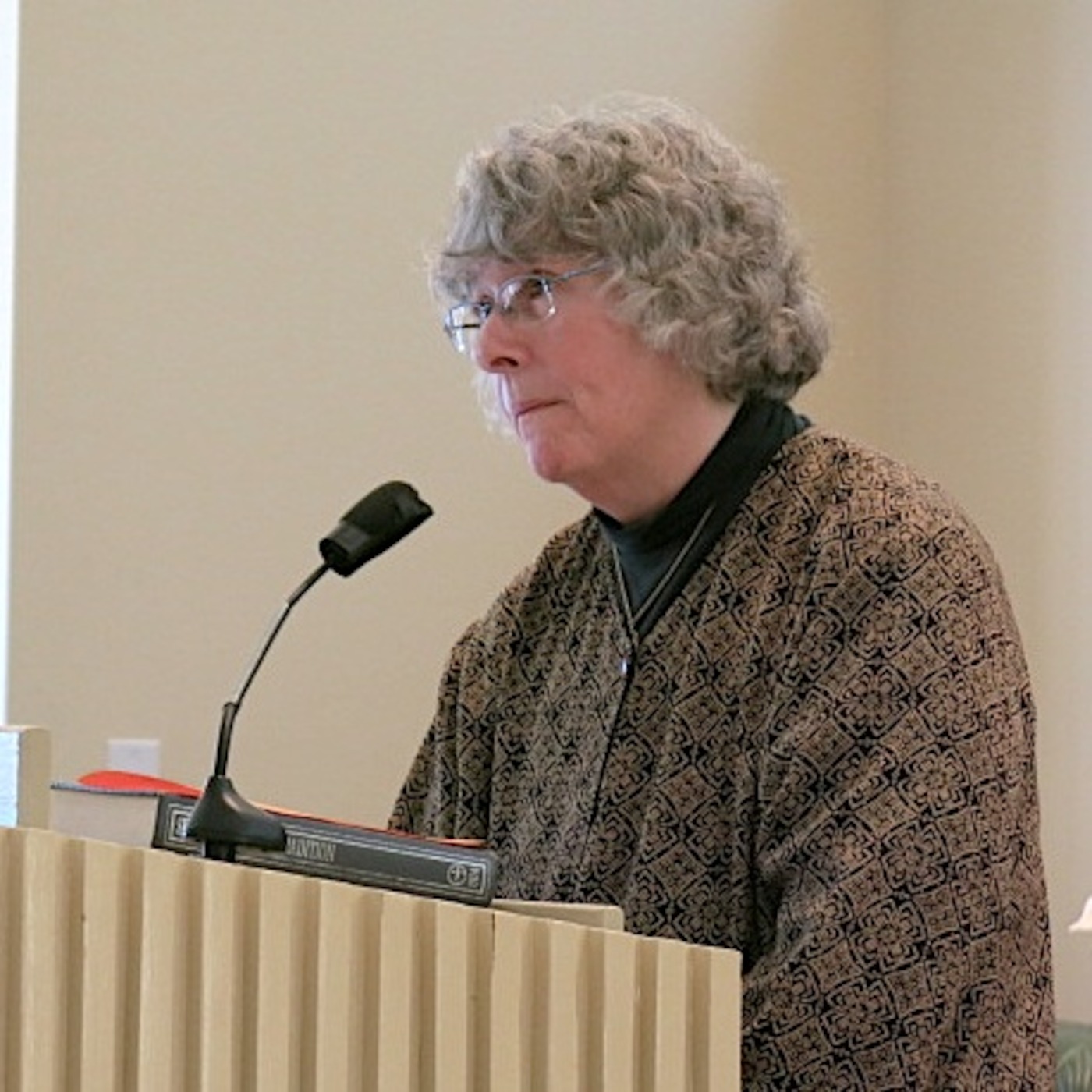 Unitarian Universalist Sermon Jan. 27, 2015 episode artwork