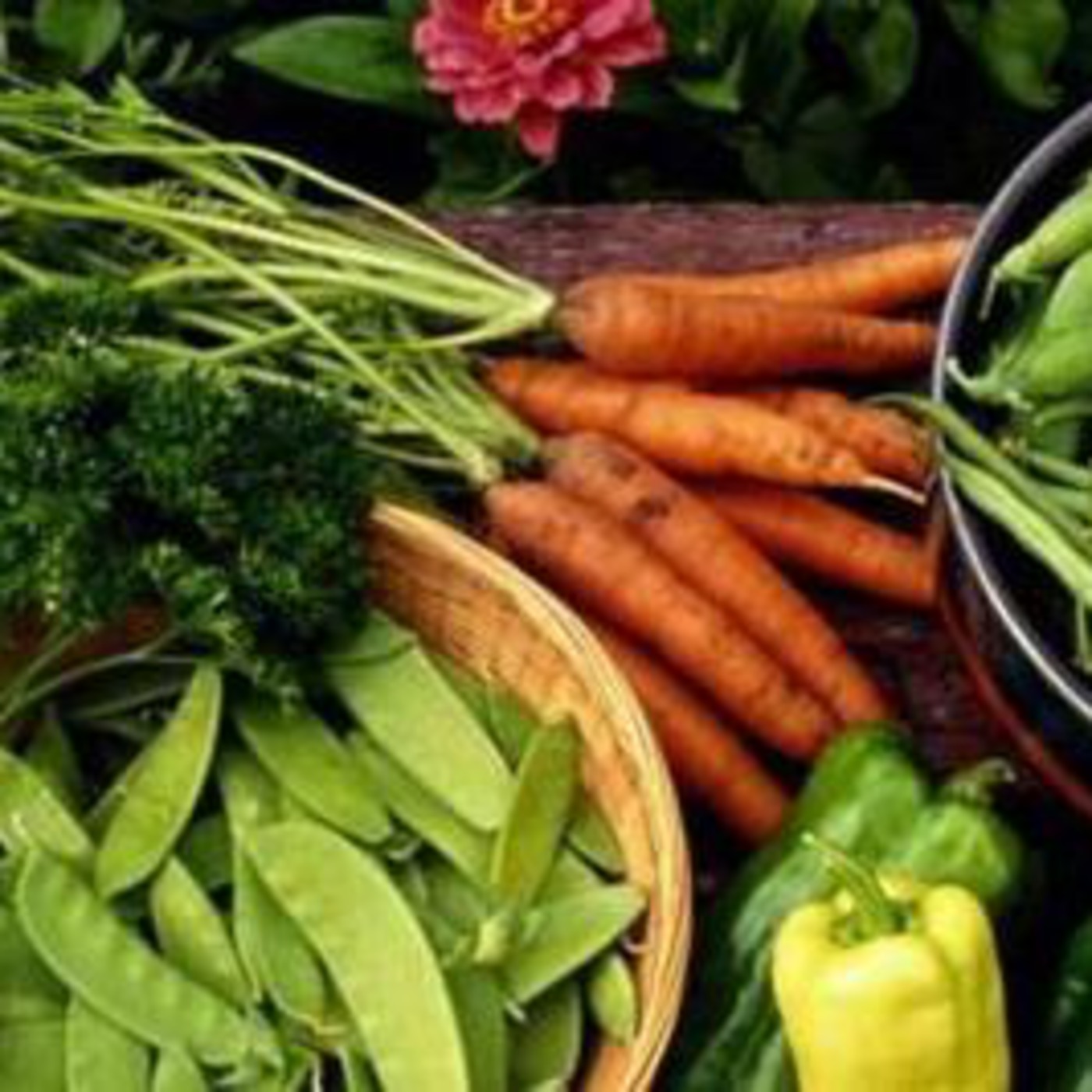 Launching show - HEALTHY EATING FOR LIFETIME episode artwork