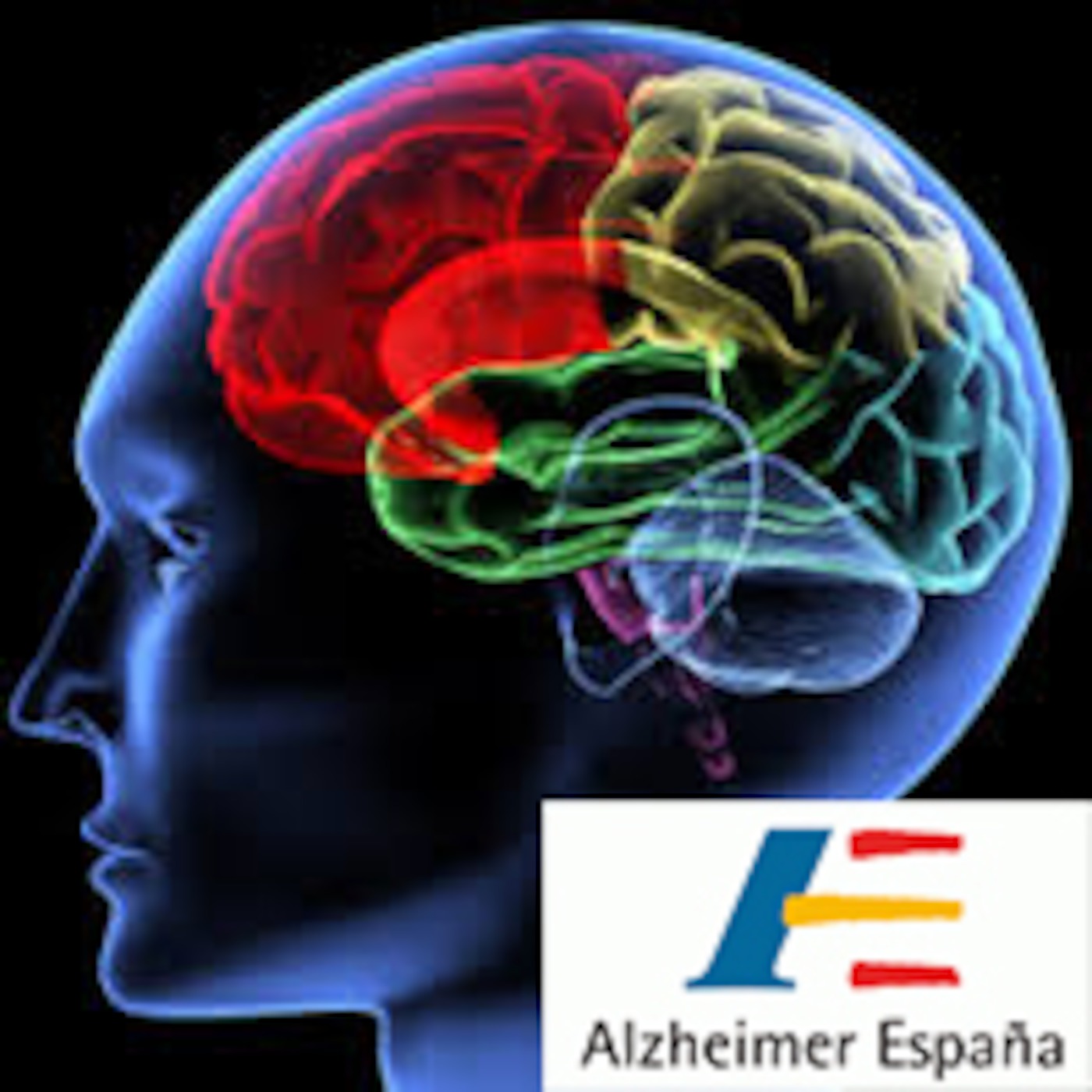 ¿Por qué y cómo se realiza una evaluación neuropsicológica? Un nuevo servicio de la FAE - El Rincón de Aloysa episode artwork