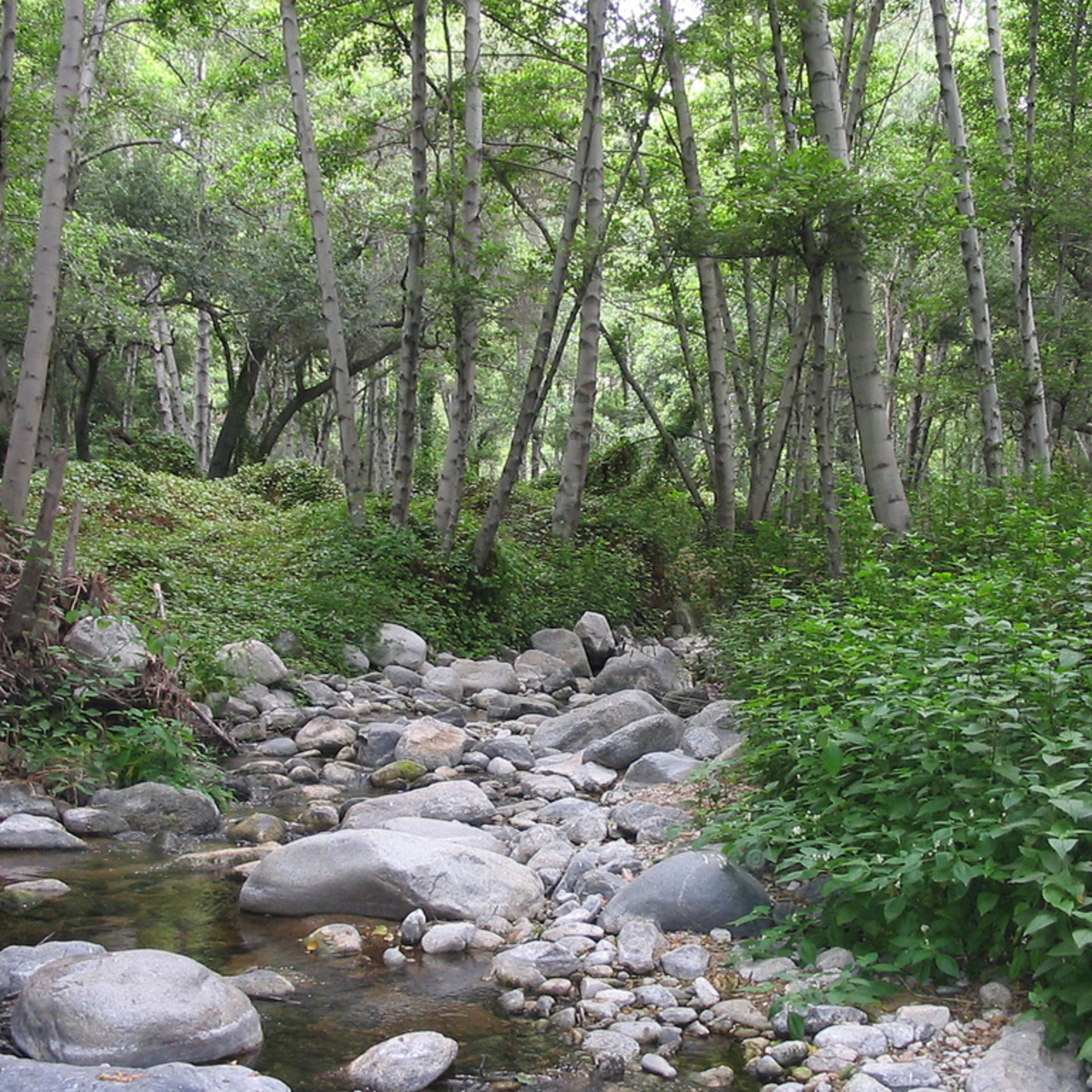 Retrain your thoughts