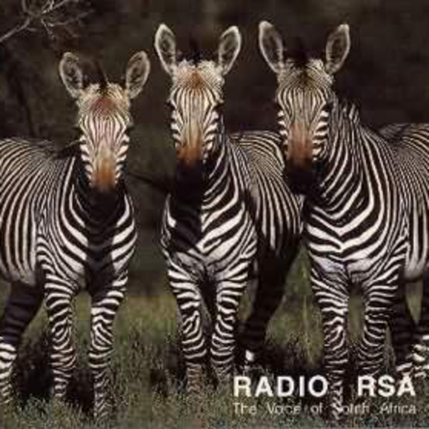 Radio Guía Internacional No.10 - Radio RSA La Voz de Sudafrica. episode artwork