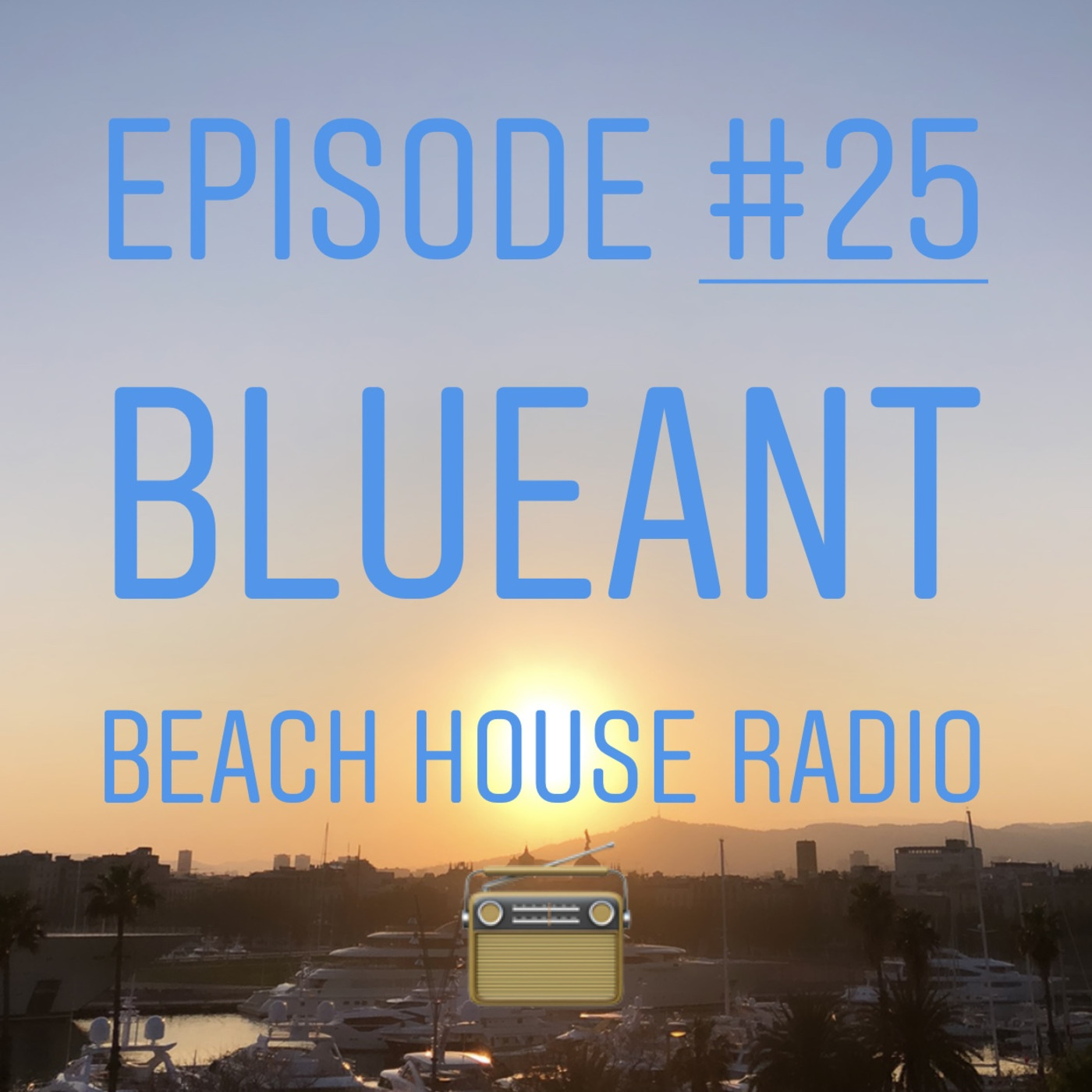 Blue Ant Beach House Radio