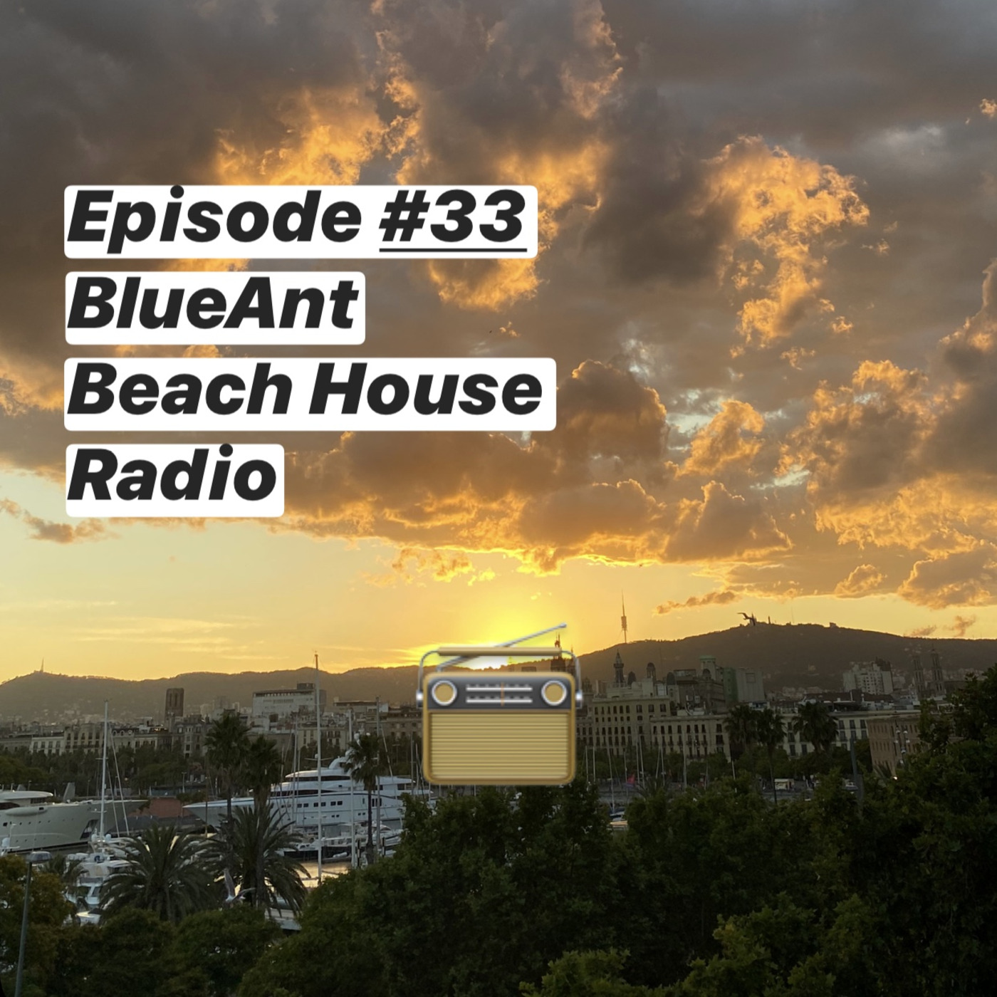 Blue Ant Beach House Radio