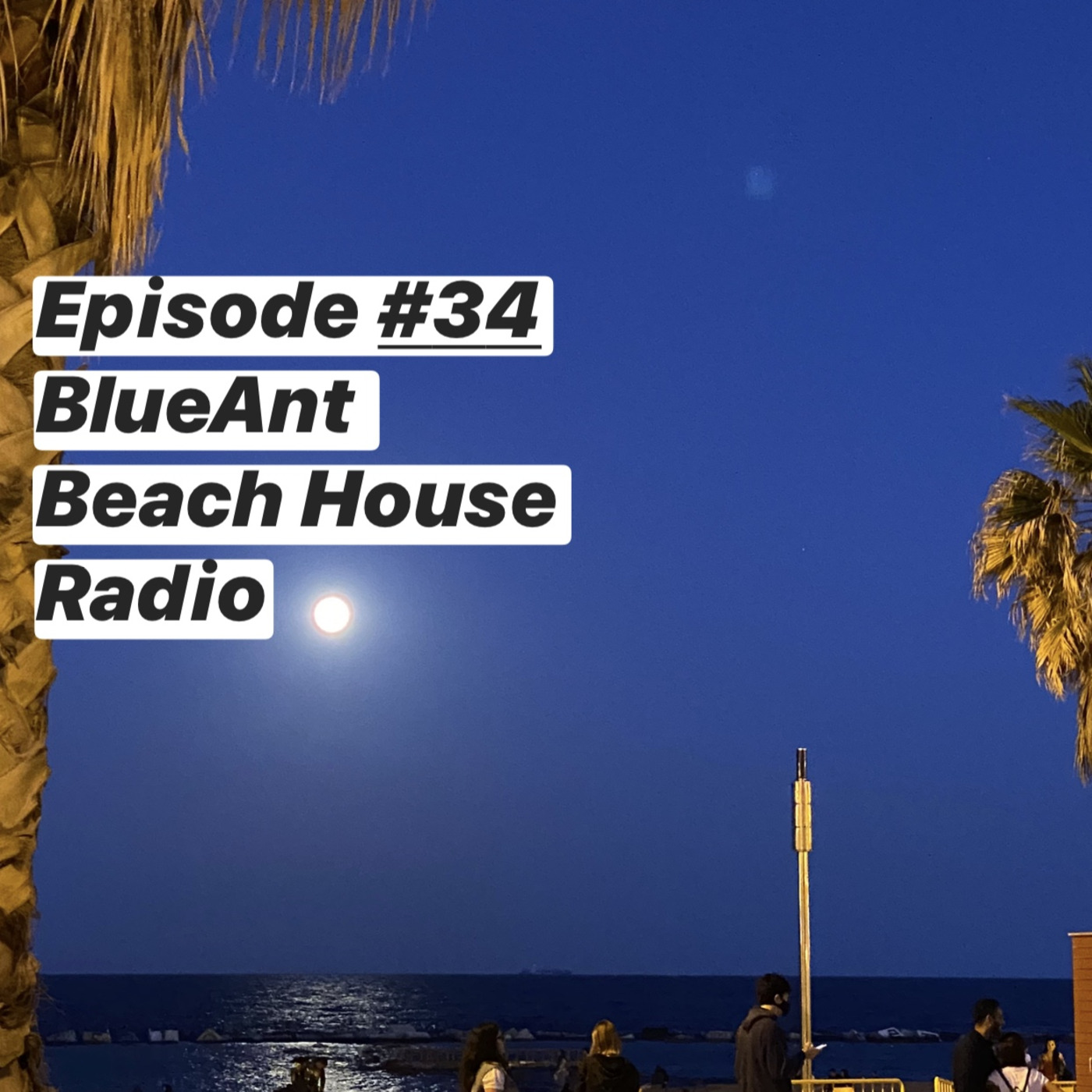 Blue Ant Beach House Radio