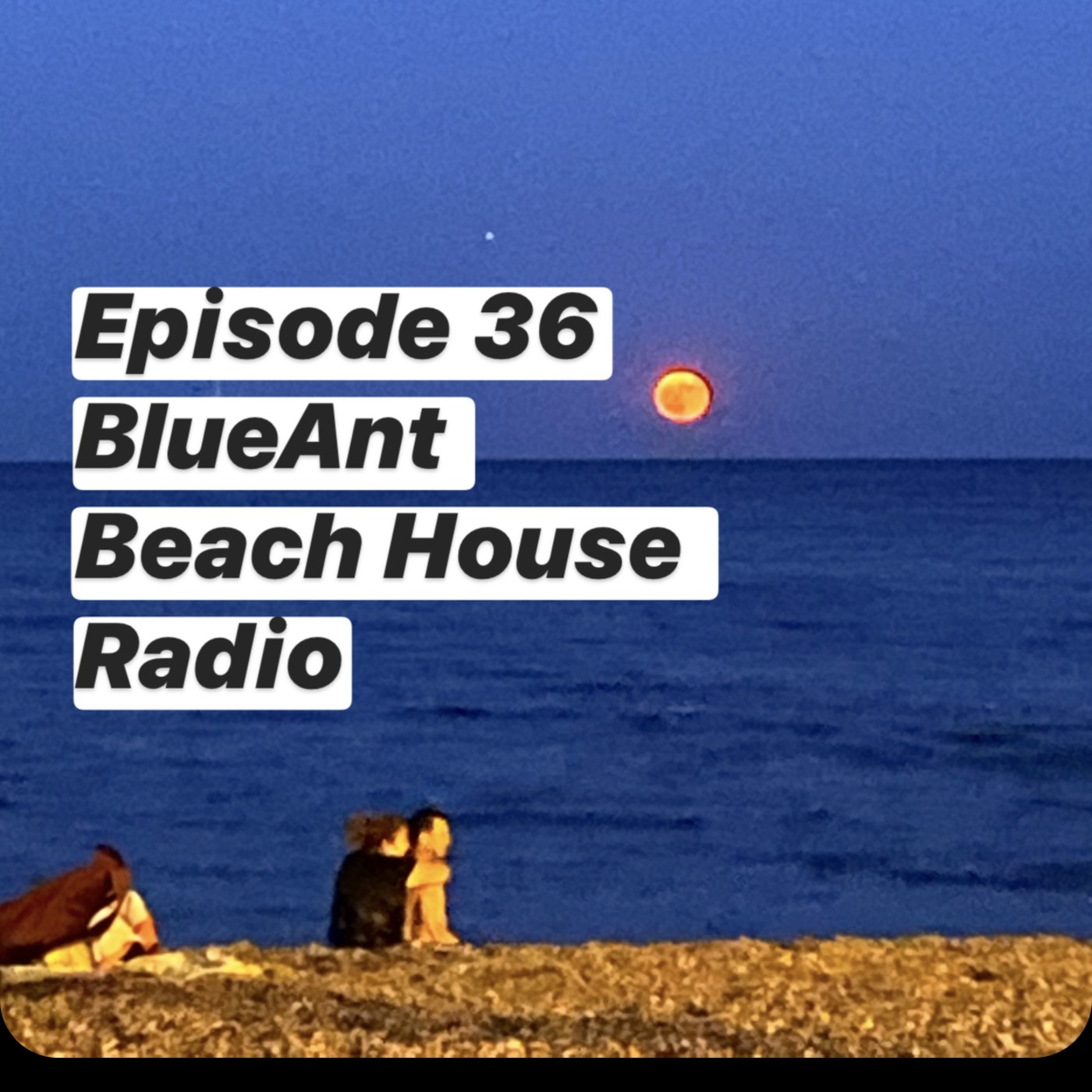 Blue Ant Beach House Radio