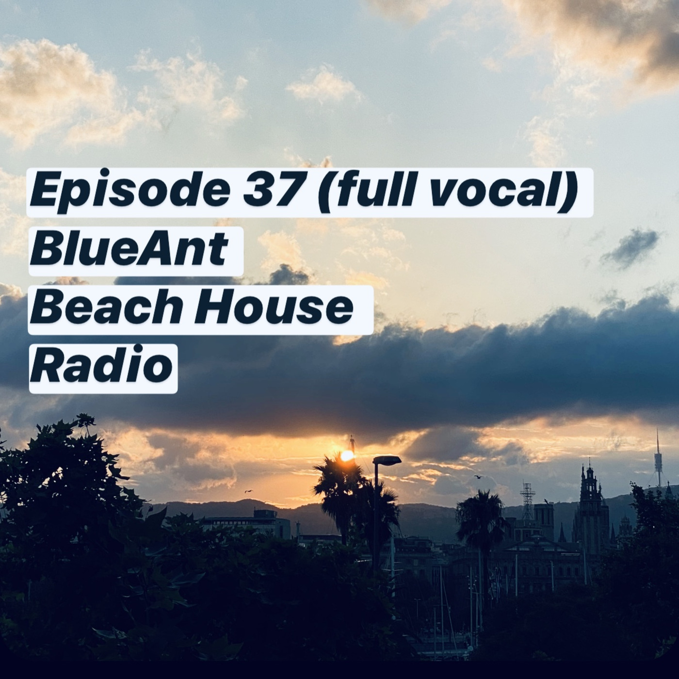 Blue Ant Beach House Radio