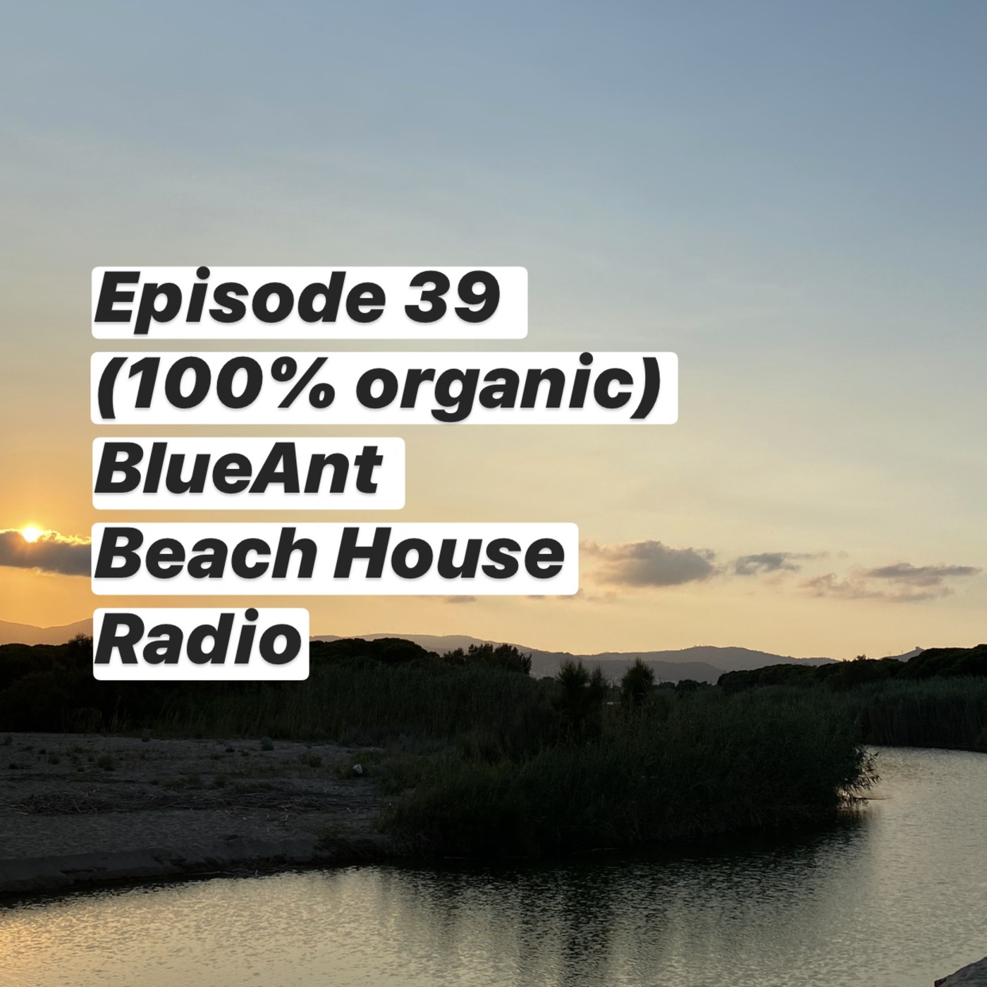 Blue Ant Beach House Radio