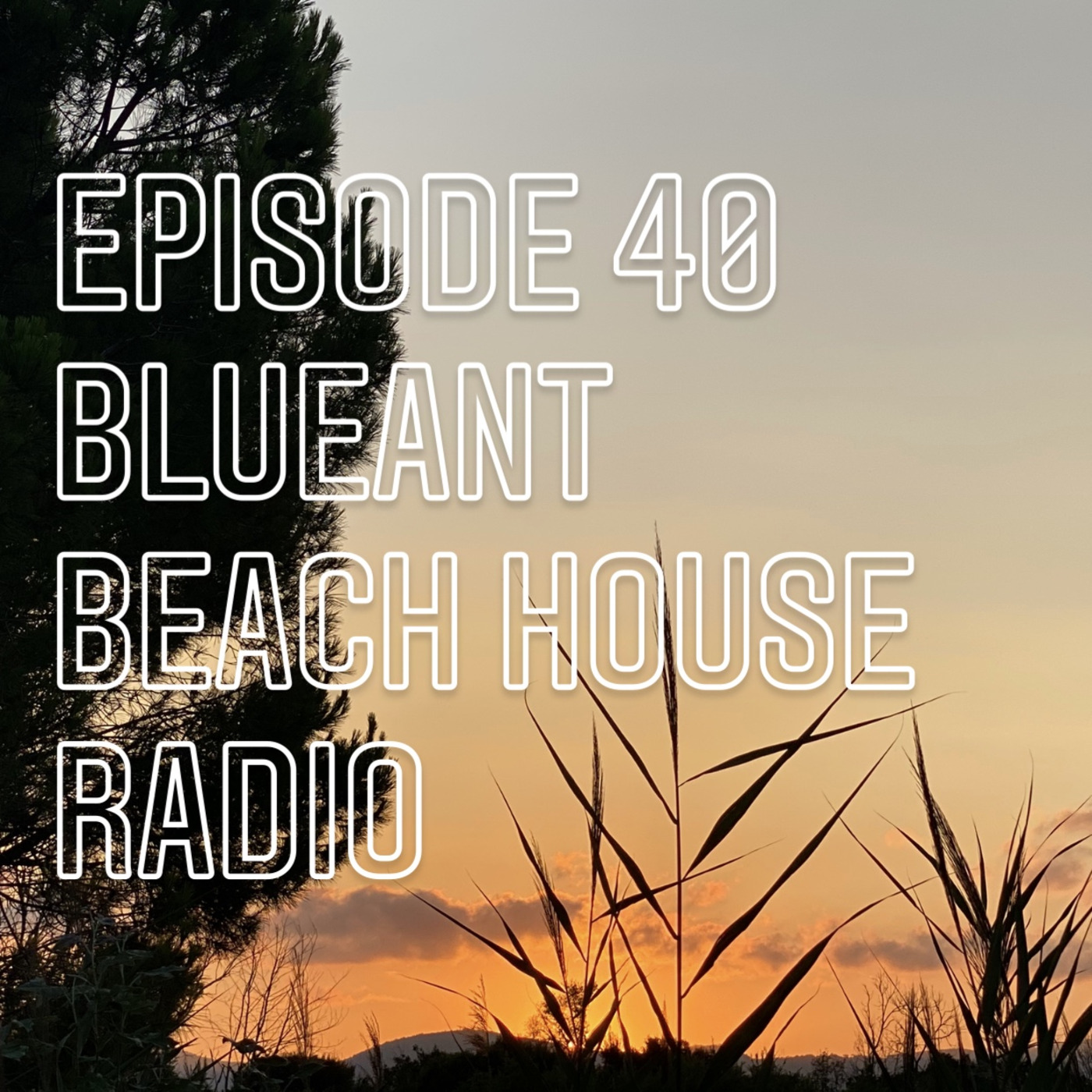 Blue Ant Beach House Radio