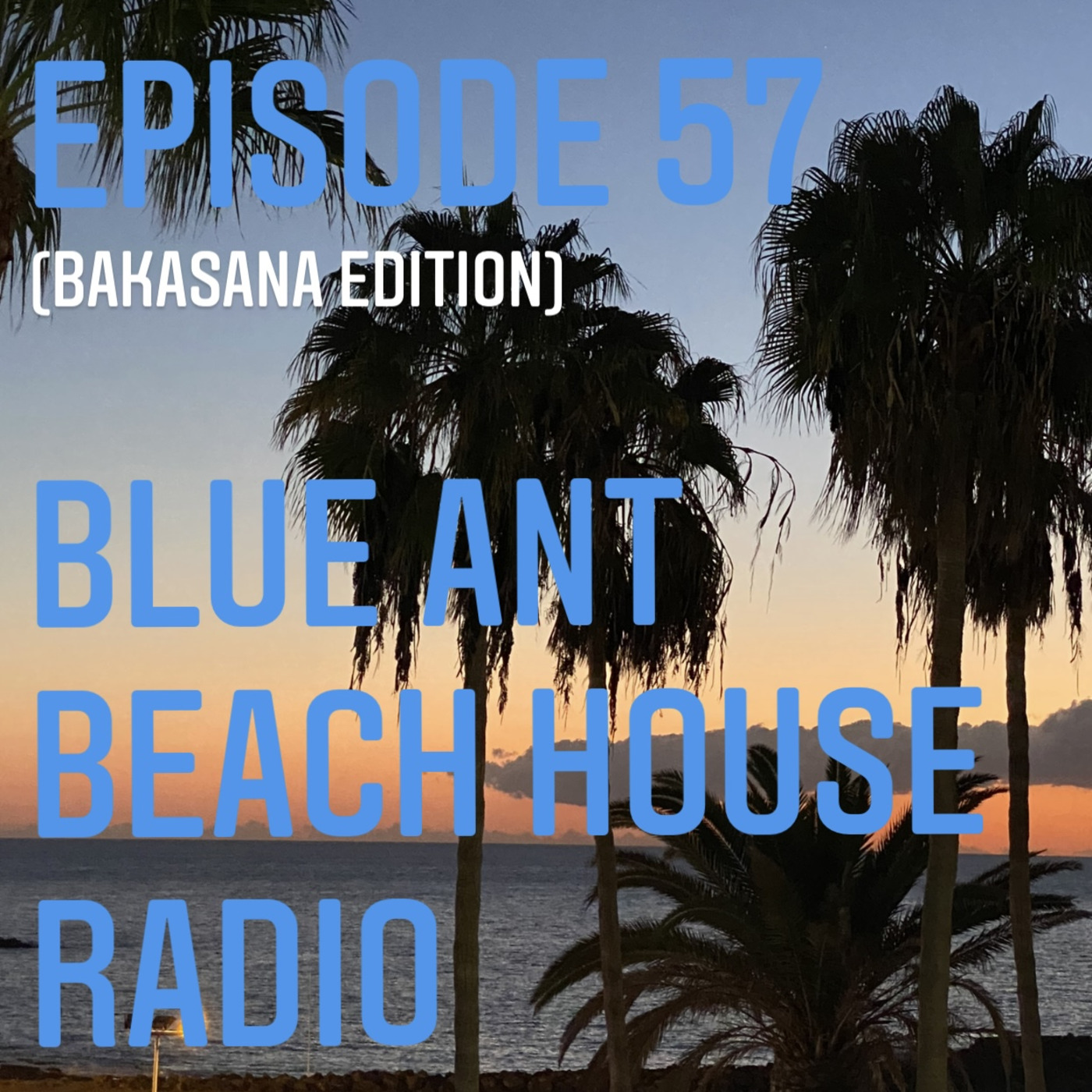 Blue Ant Beach House Radio