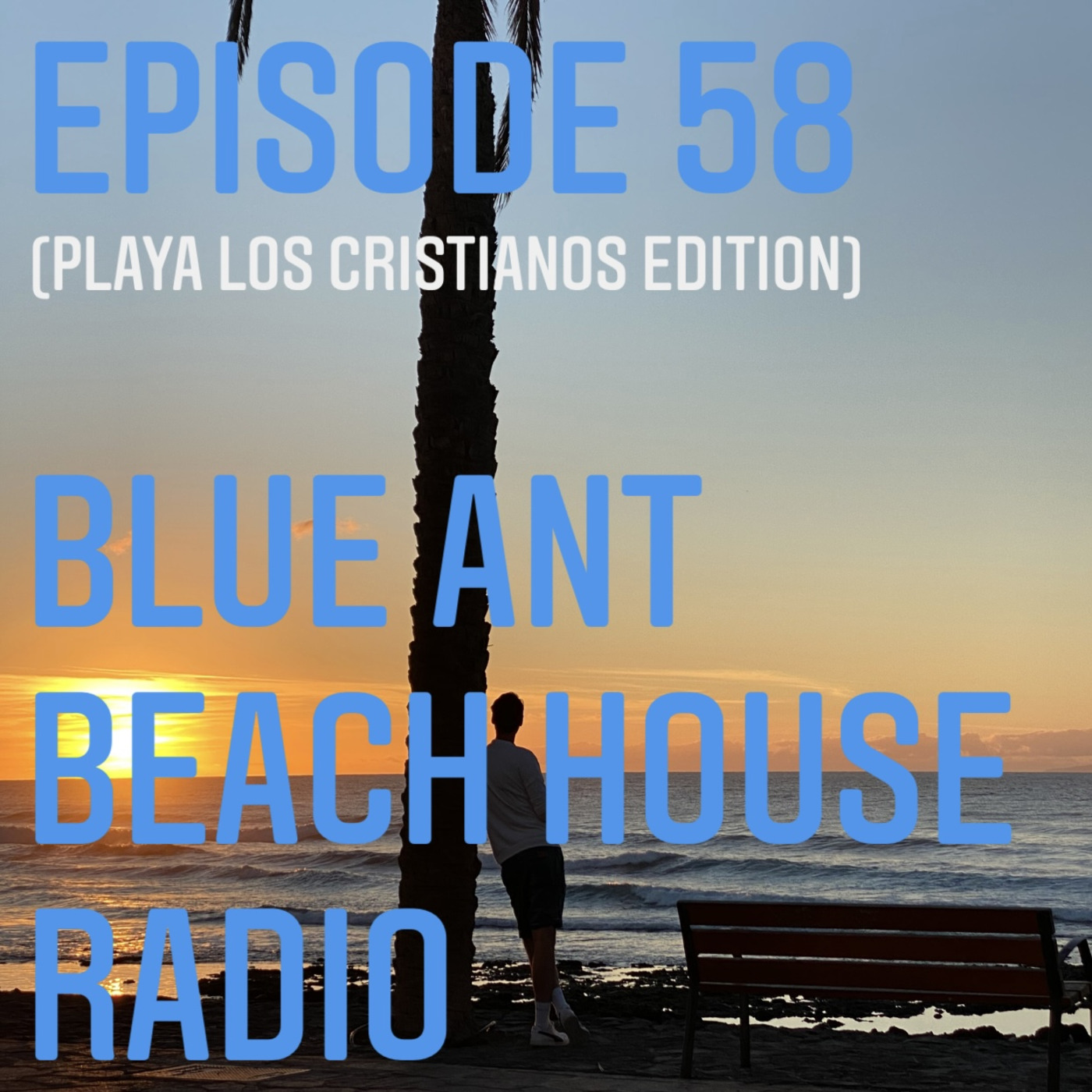 Blue Ant Beach House Radio