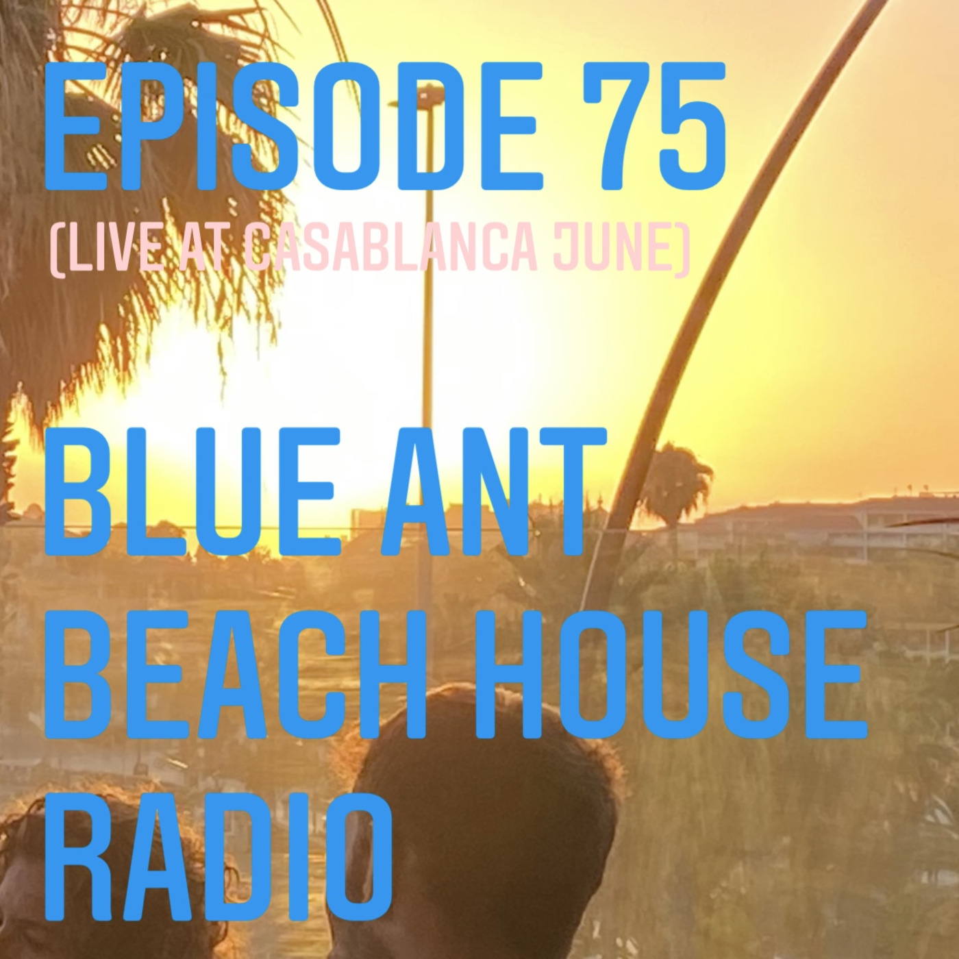 Blue Ant Beach House Radio