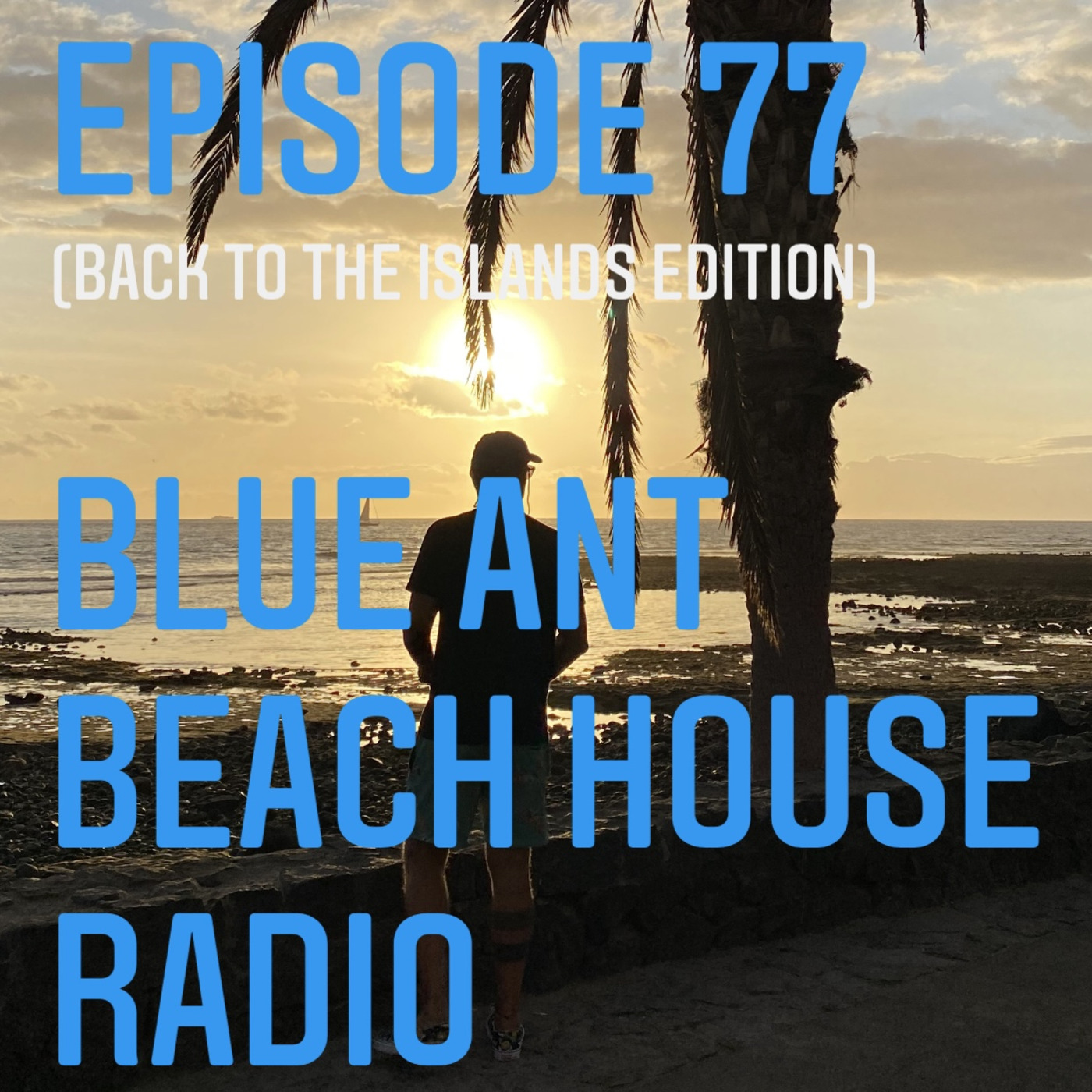 Blue Ant Beach House Radio