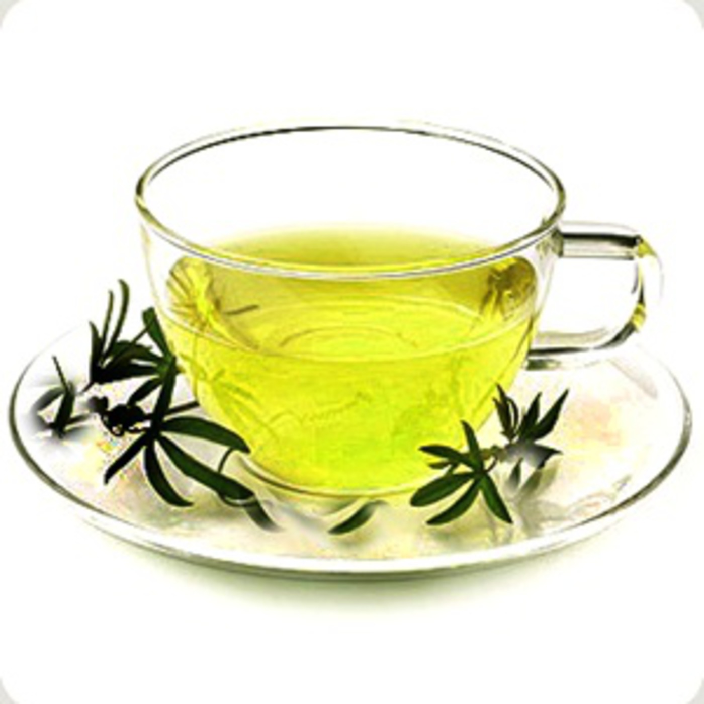 Reading and Listening Practice (Article about tea)