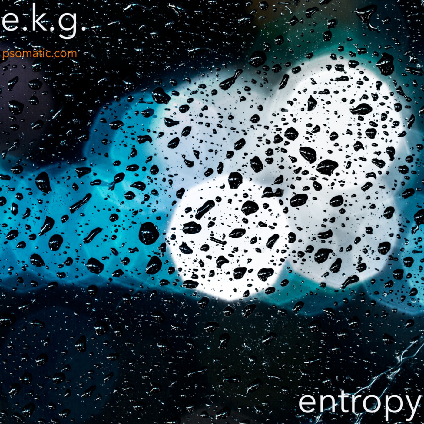 e.k.g. - entropy