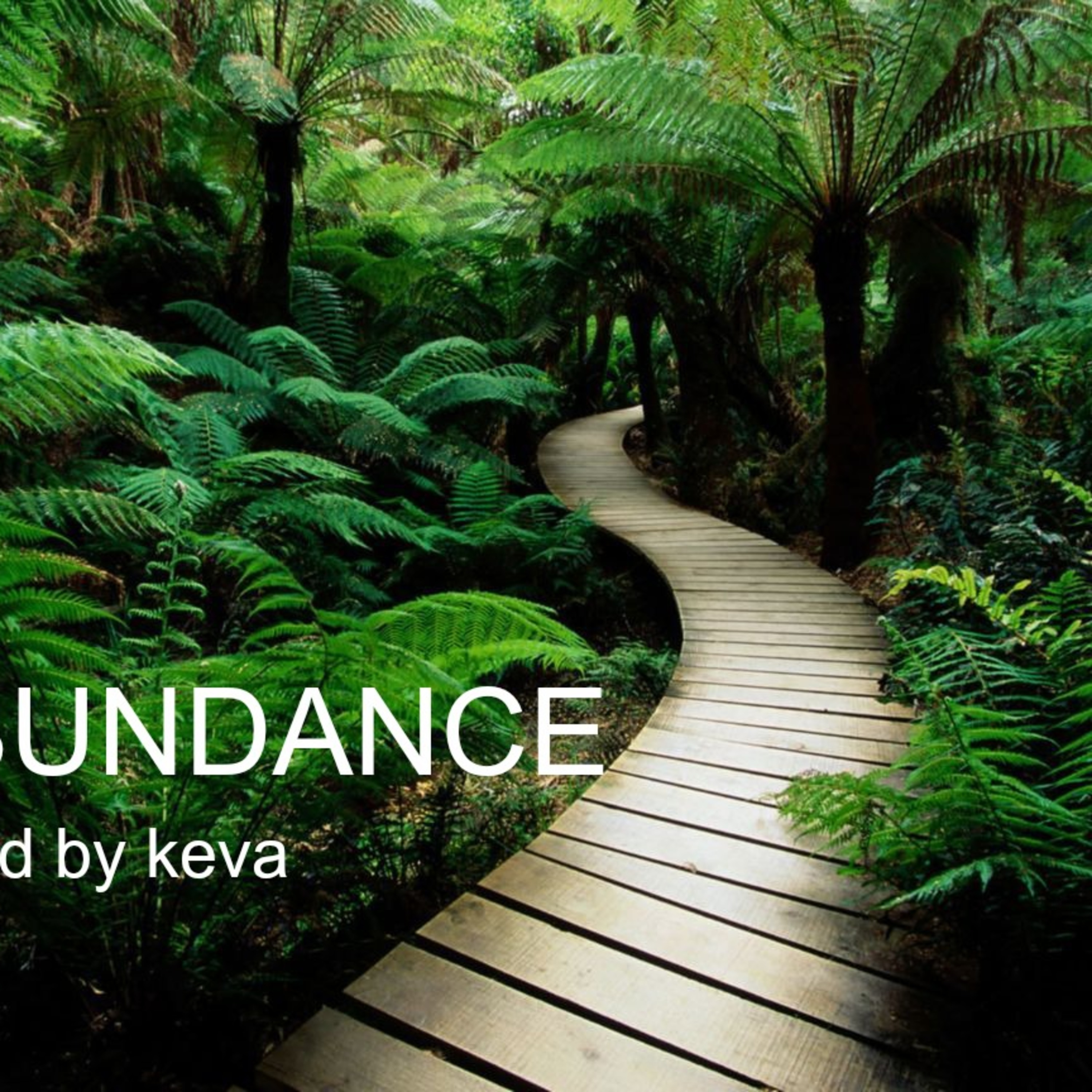 Abundance episode artwork