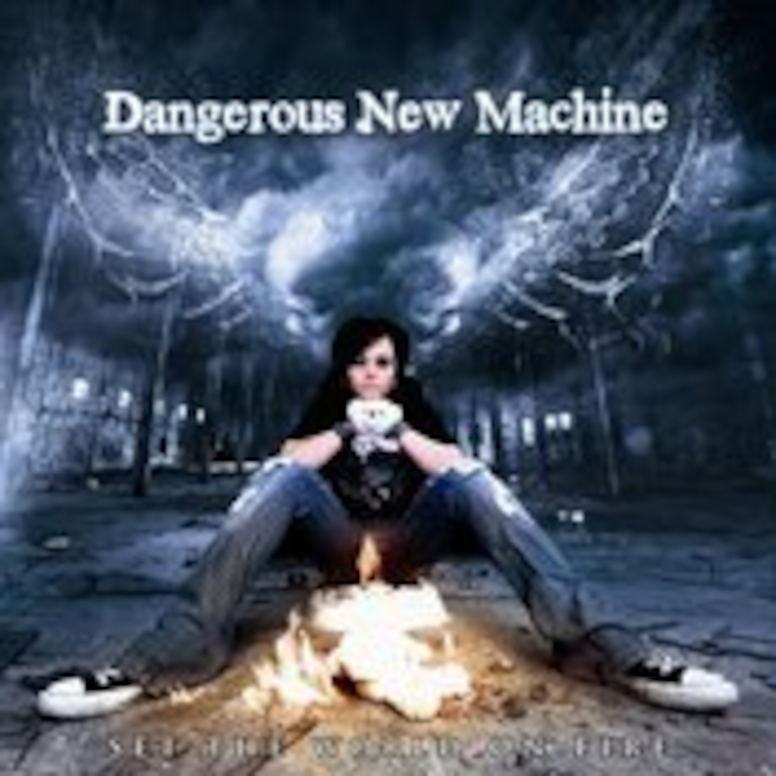 Interview with Dangerous New Machine frontman Erik Rogers