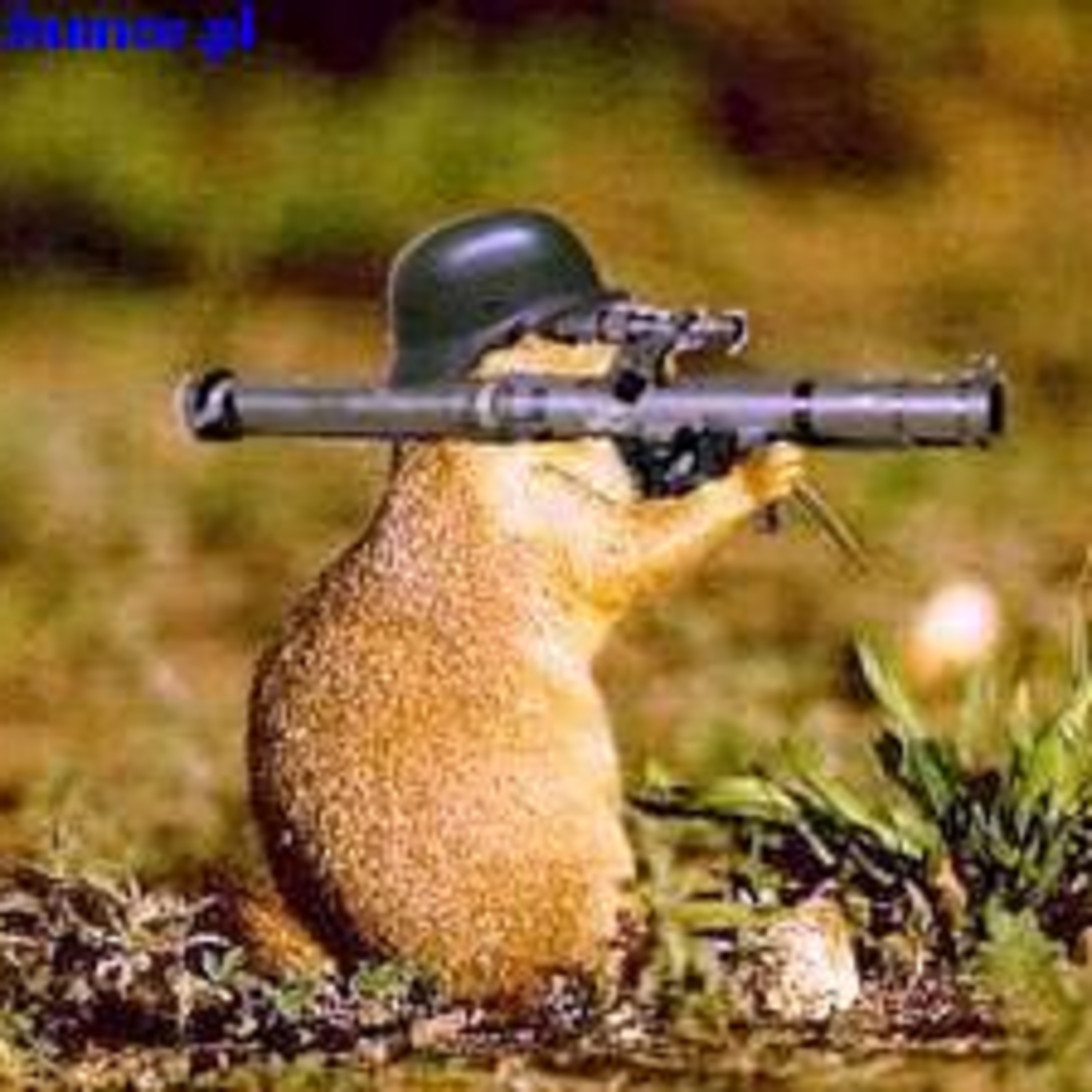 Timbaland Ft.Fallout Boy-One & Only