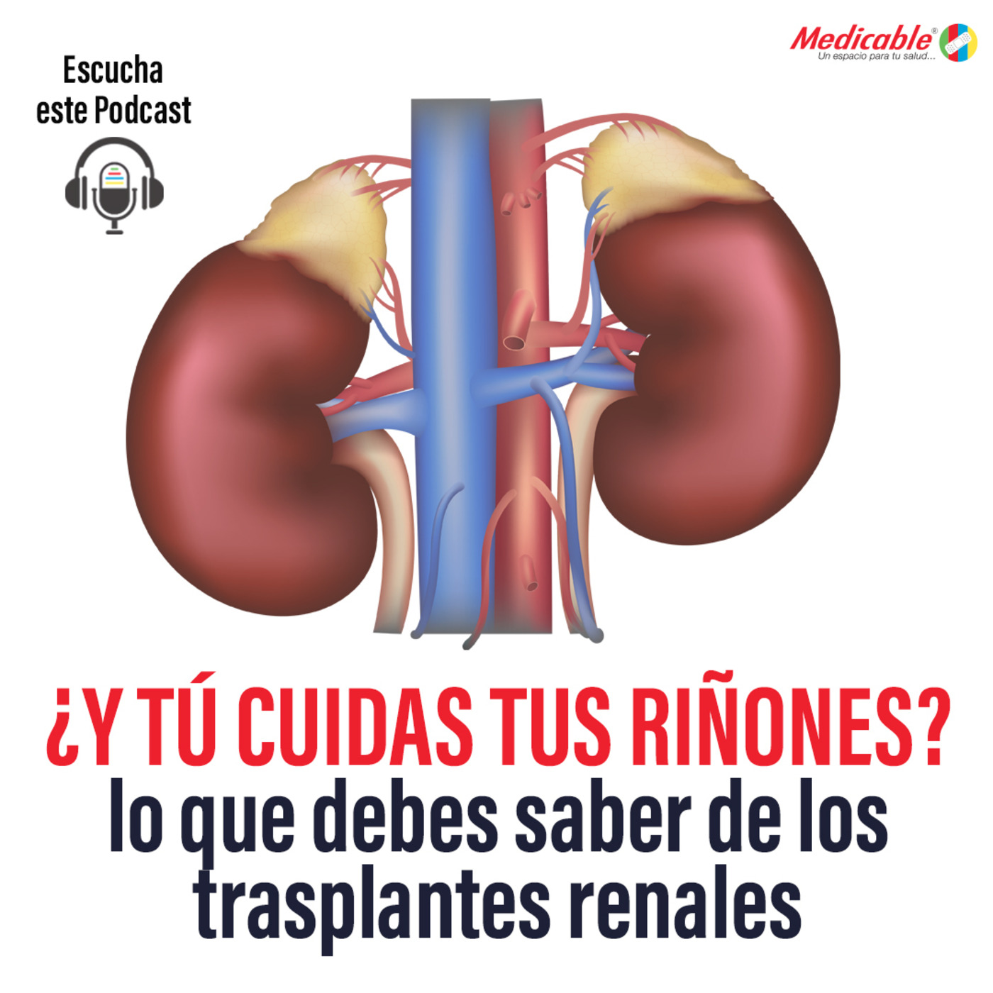 ¿Y tú cuidas tus riñones? Lo que debes saber de los trasplantes renales. episode artwork