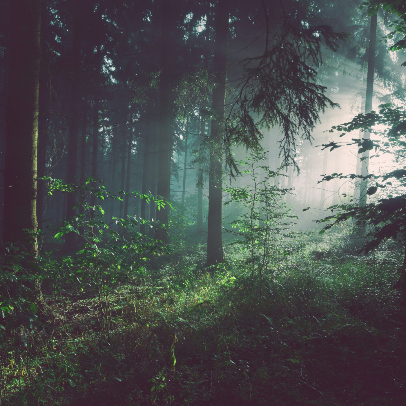 Deep and Soulful Mix 02