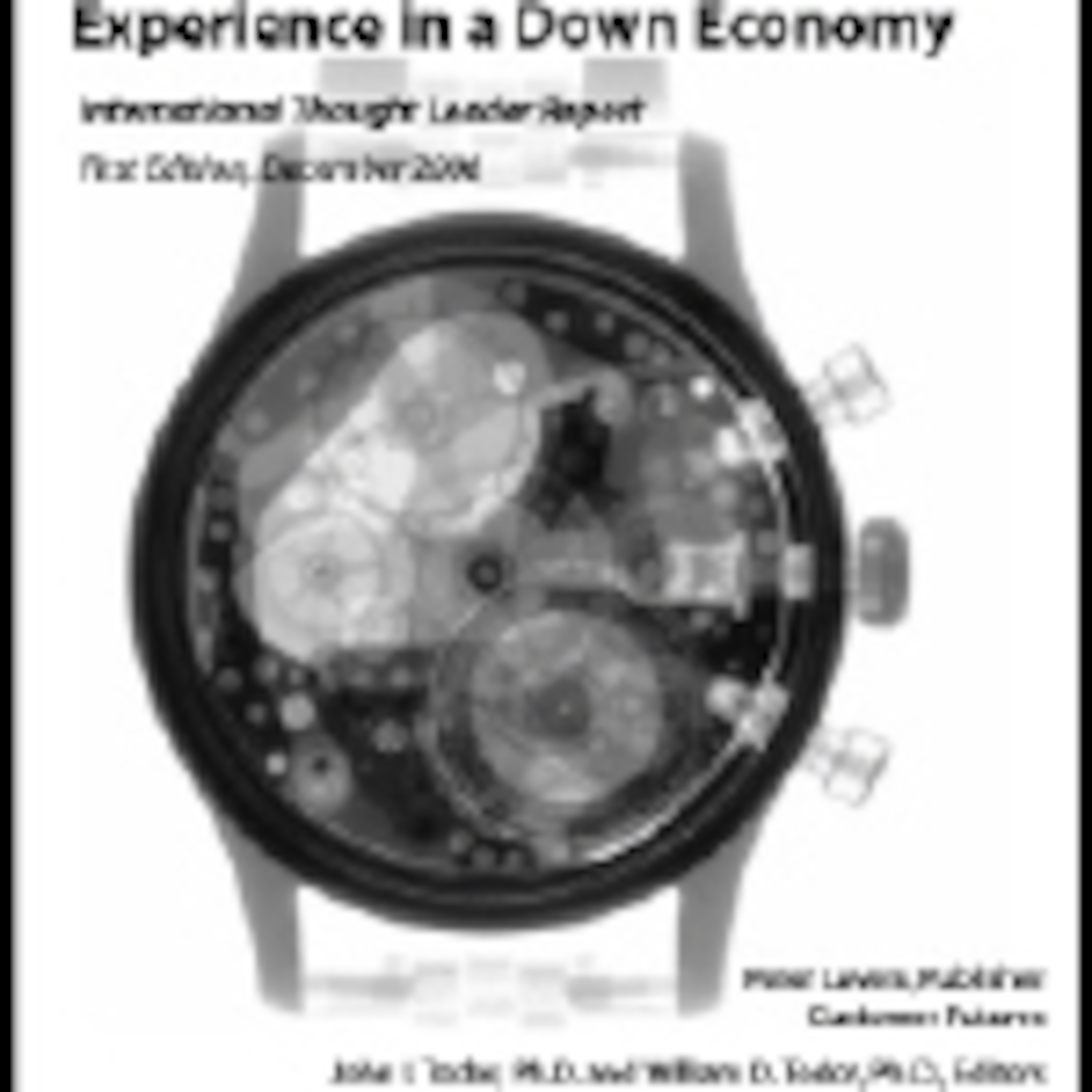 Customer Experience Improvement on a Tight Budget episode artwork