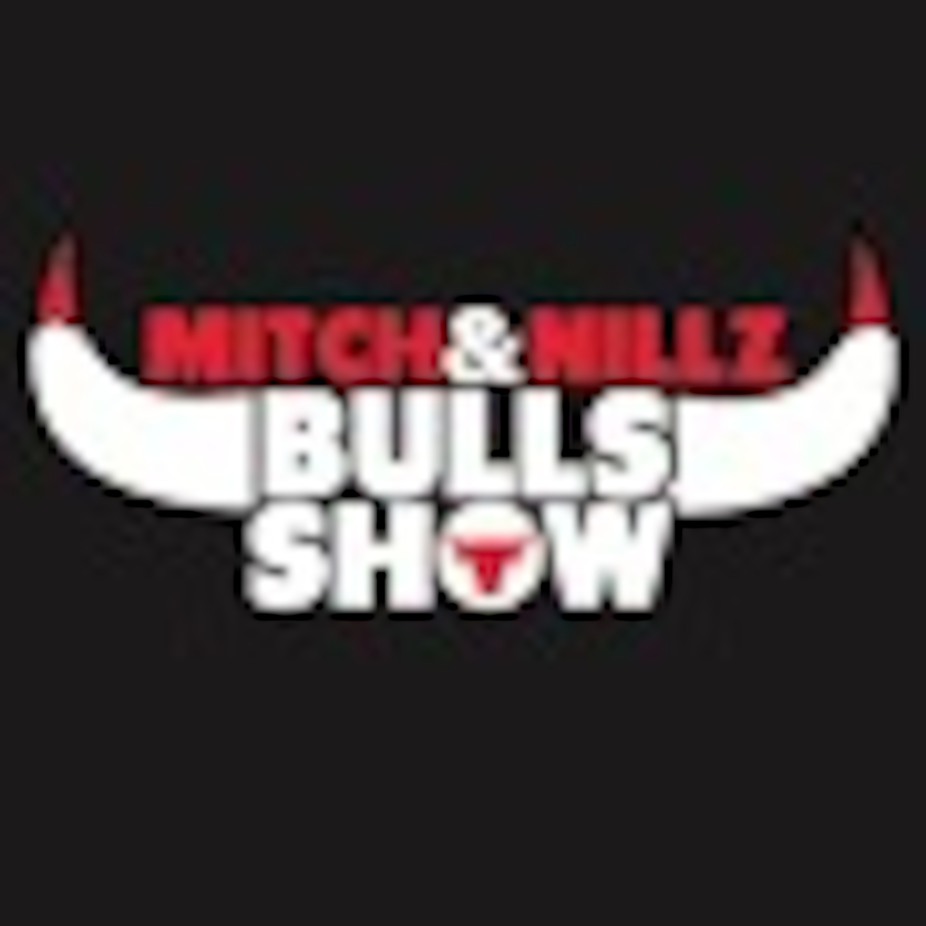 The Bulls Show