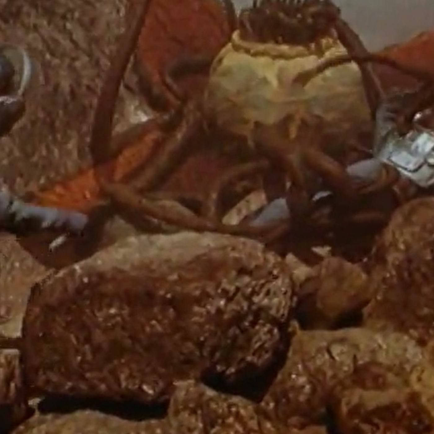 SciFiMusic with RedBlueBlackSilver