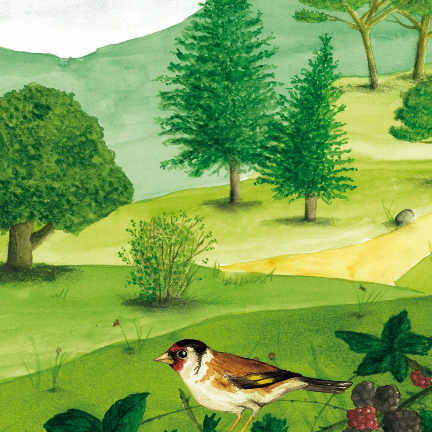 L'ARBRE DE LES 1000 MÚSIQUES,PROGRAMA 10-2-11