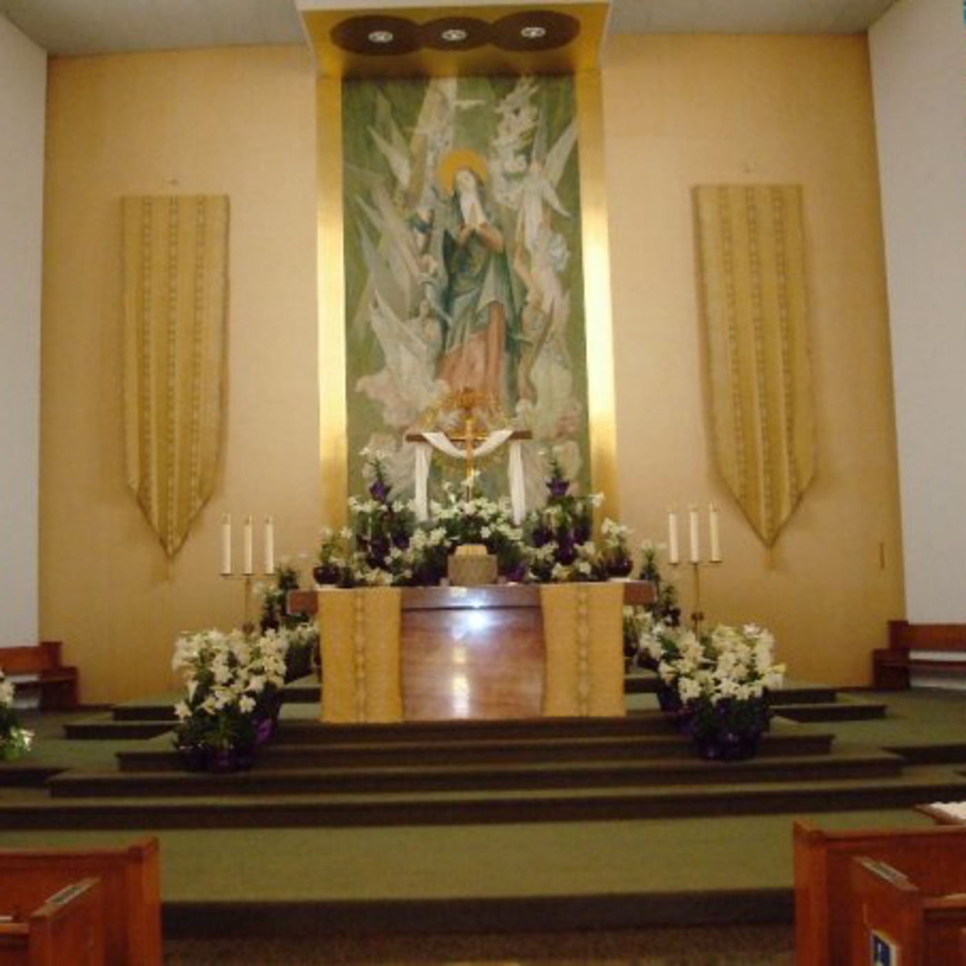 Our Lady of the Assumption Homilies