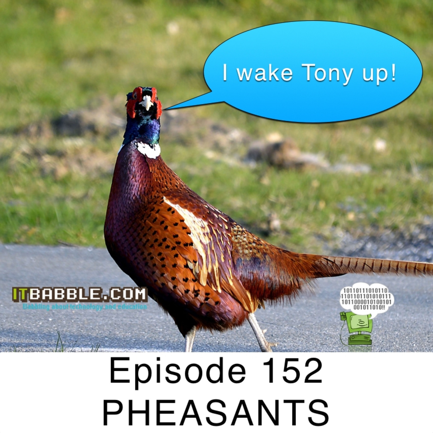 IT Babble\'s Podcast