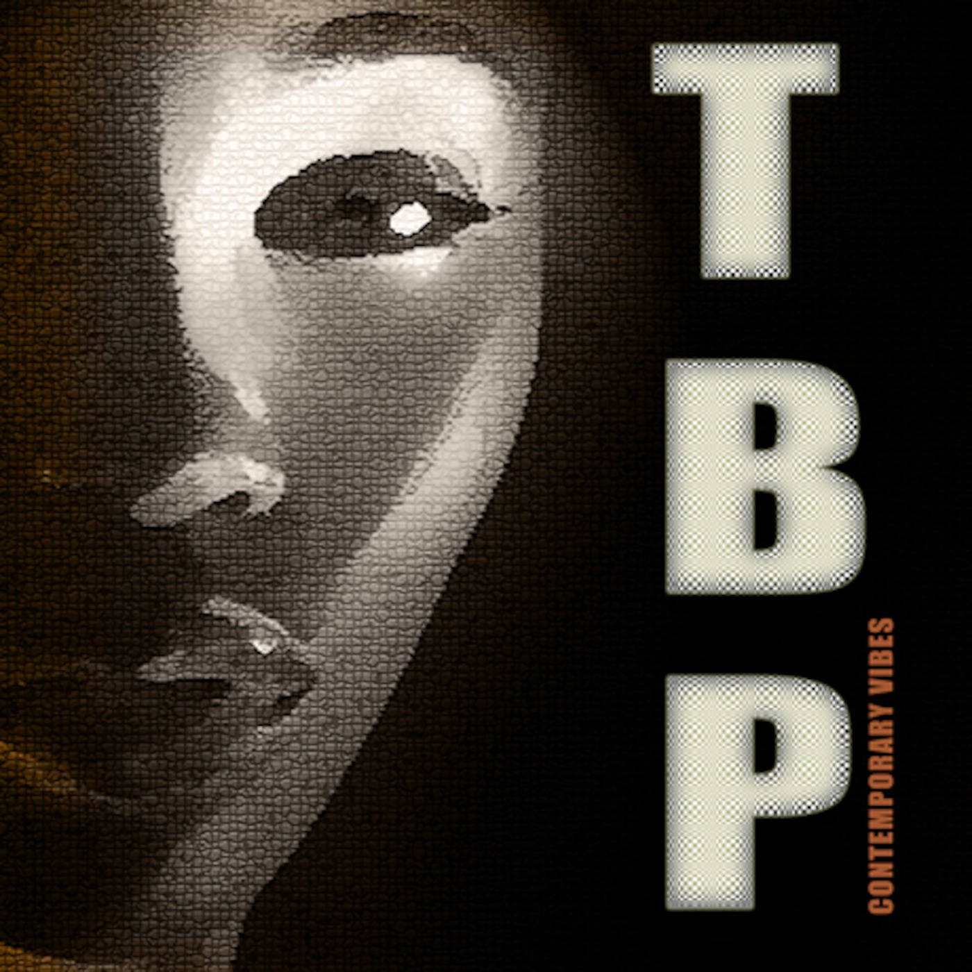 Latin Trips and Rhythm Beats - The Bria Project (2008)