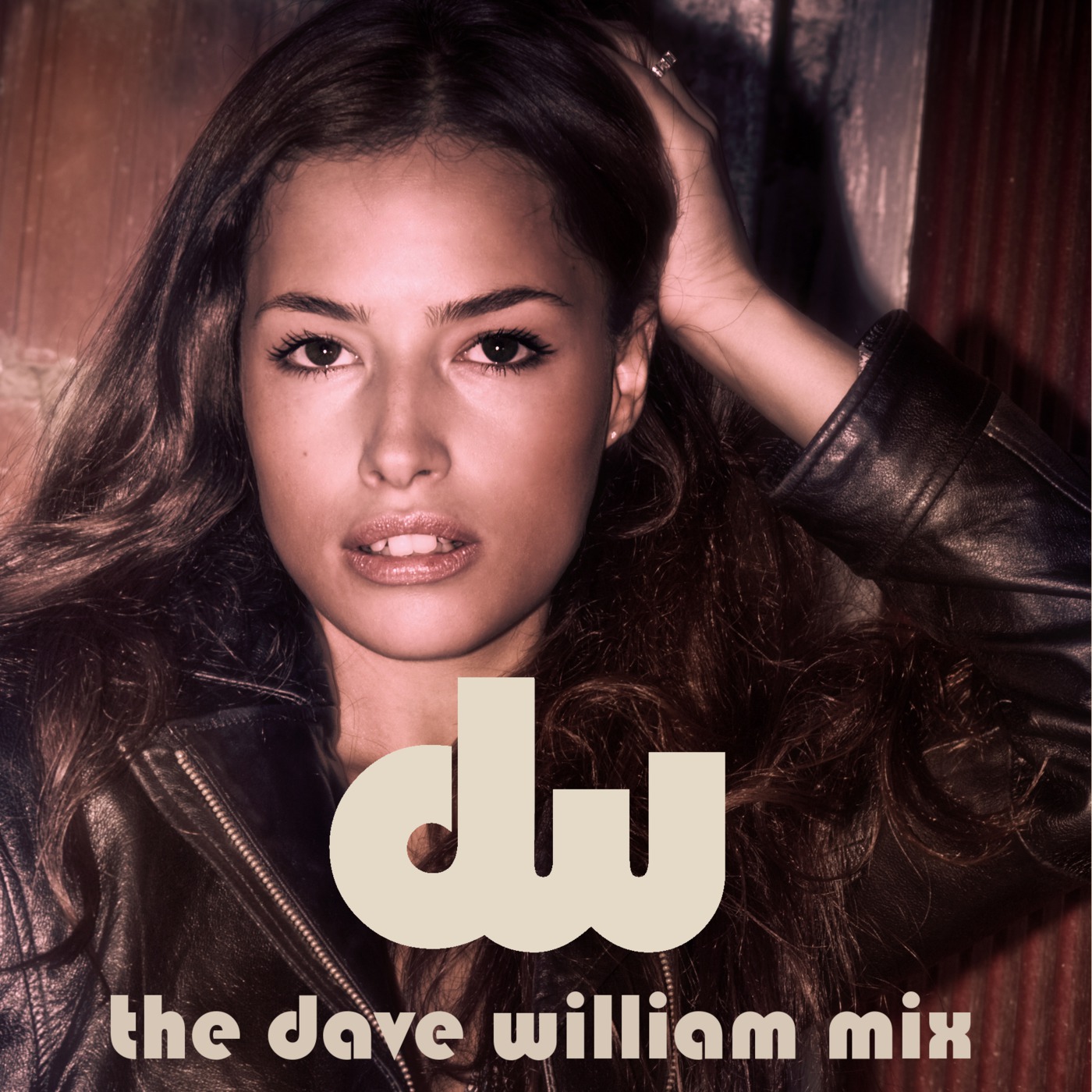 The Dave William house mix podcast artwork