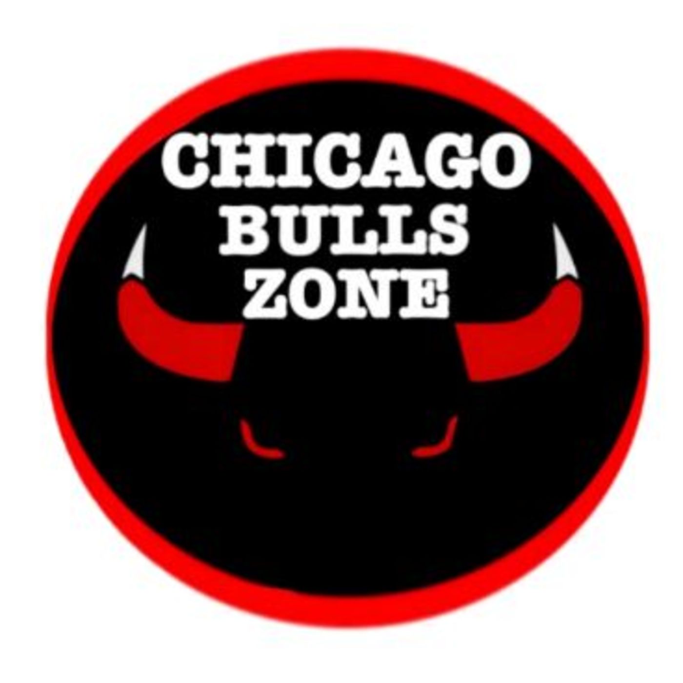 Bulls Zone 120- Summer Overhaul