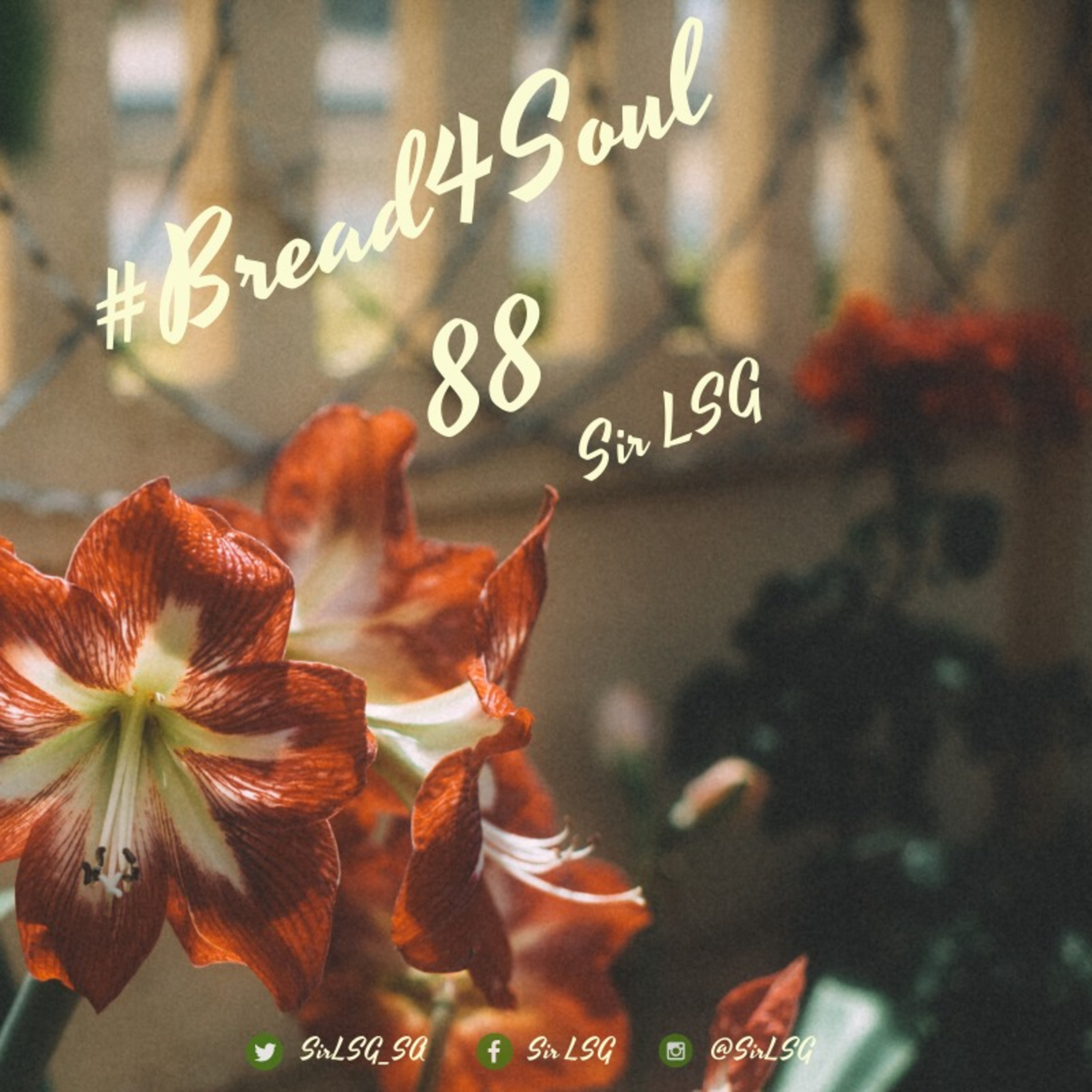 Bread4Soul 88 - Sir LSG