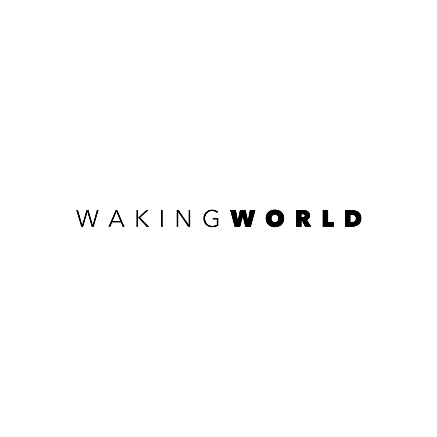 WakingWorld