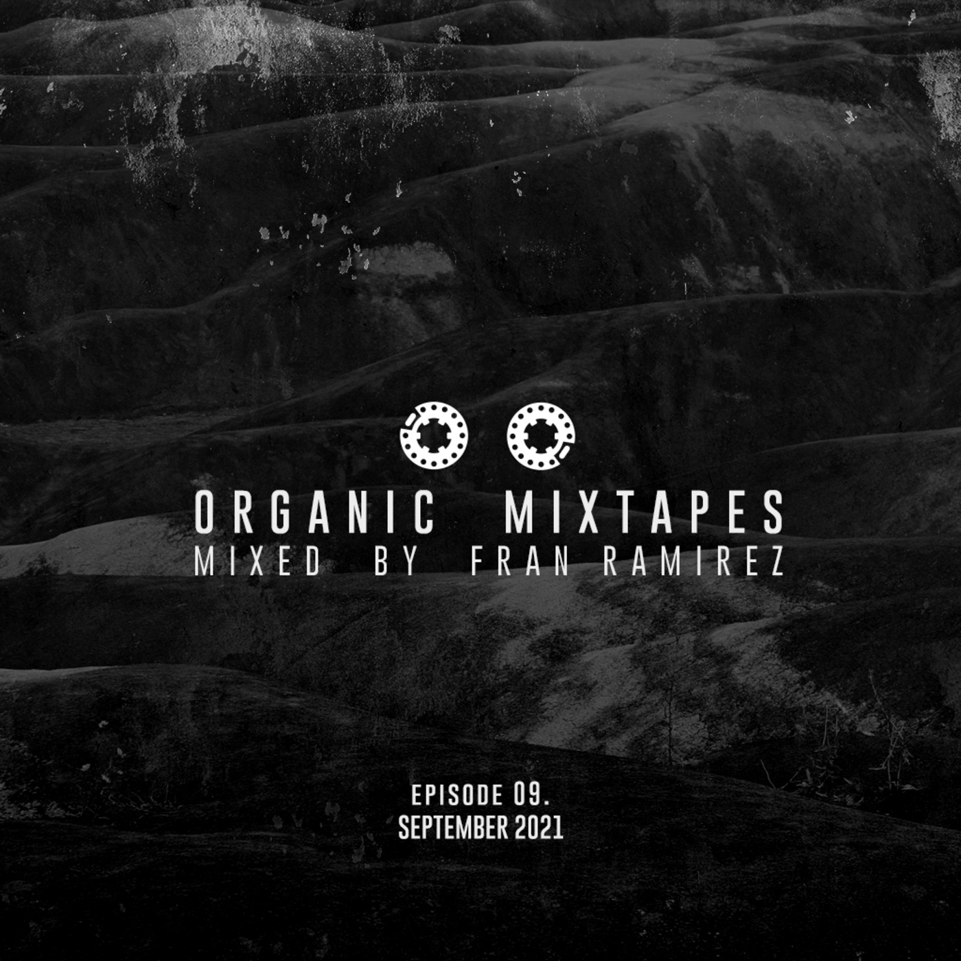 Organic Mixtapes by Fran Ramirez