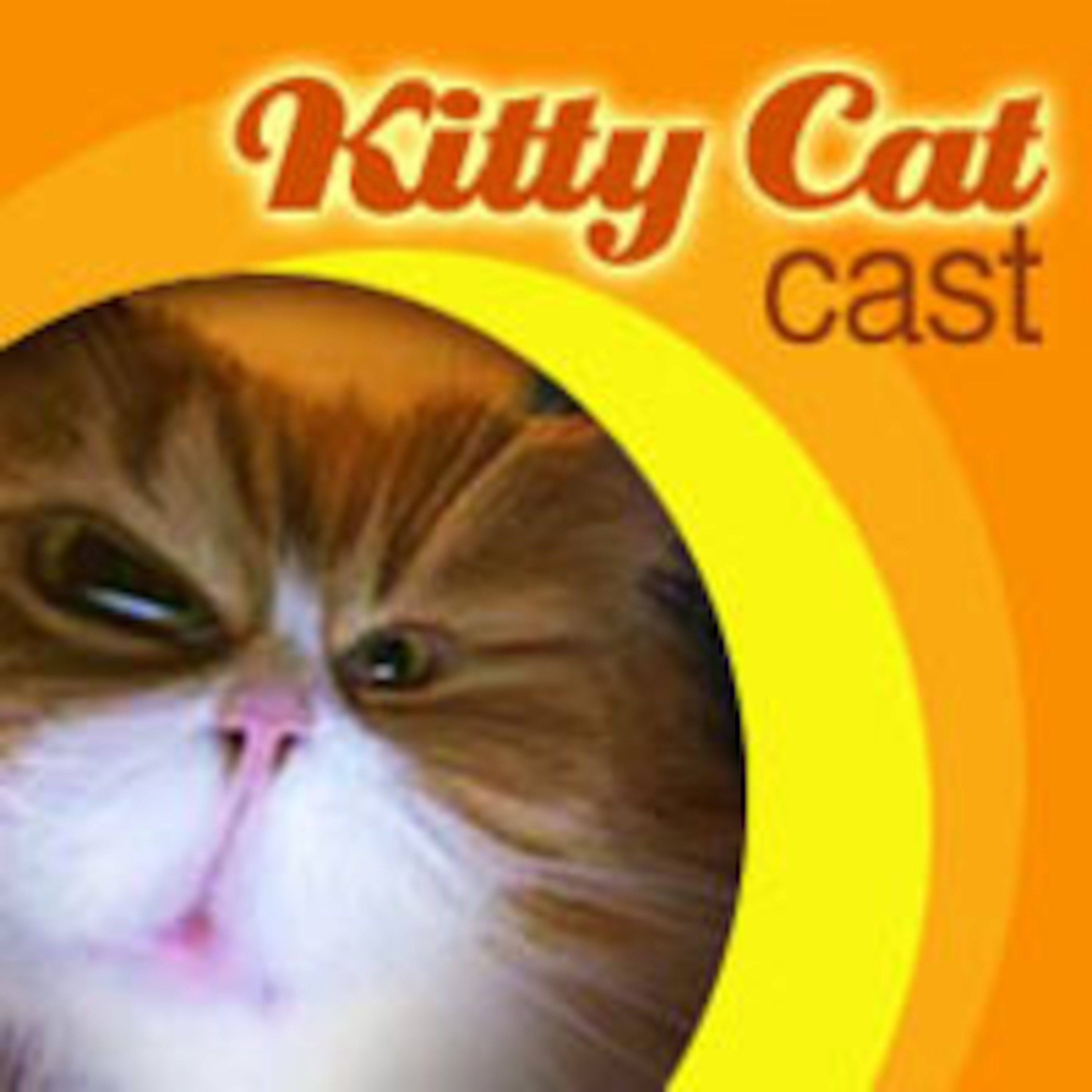 Casting cat