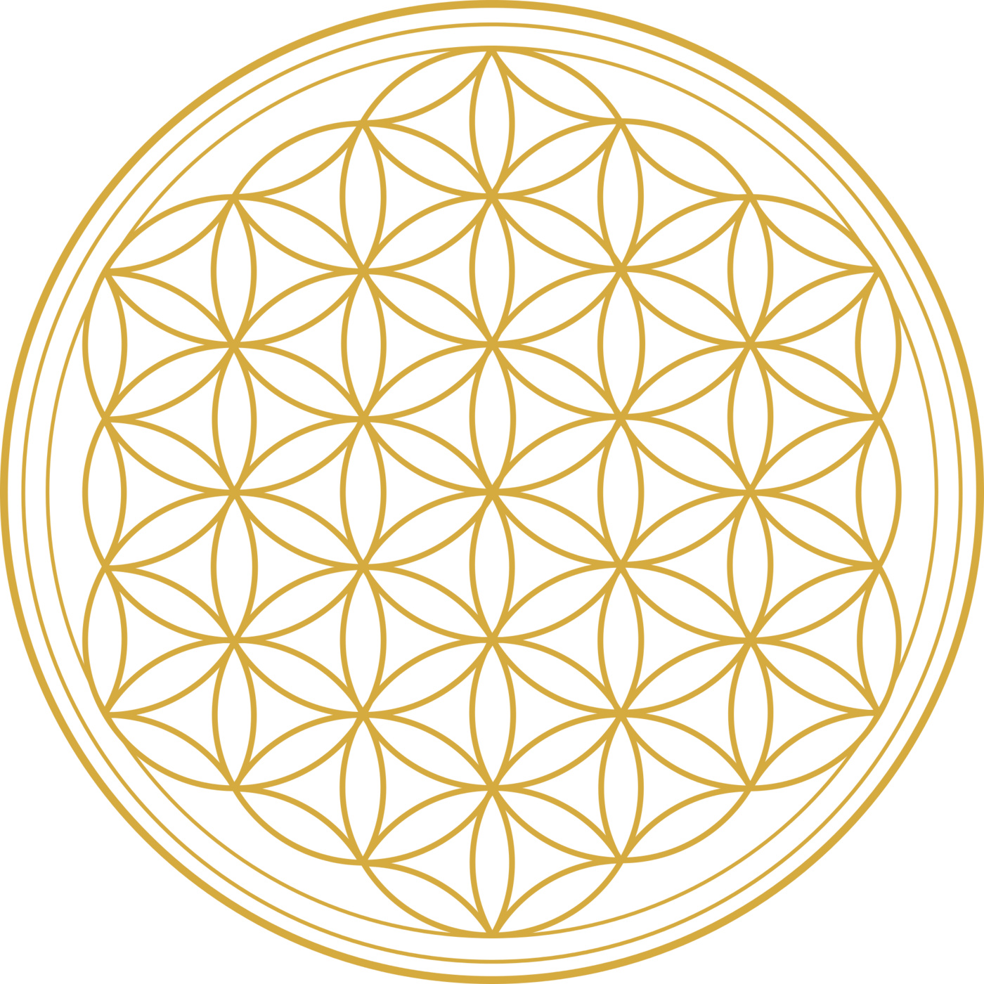 Wolfgang\'s Talk-Time - DER Ayurveda-Lifestyle Podcast
