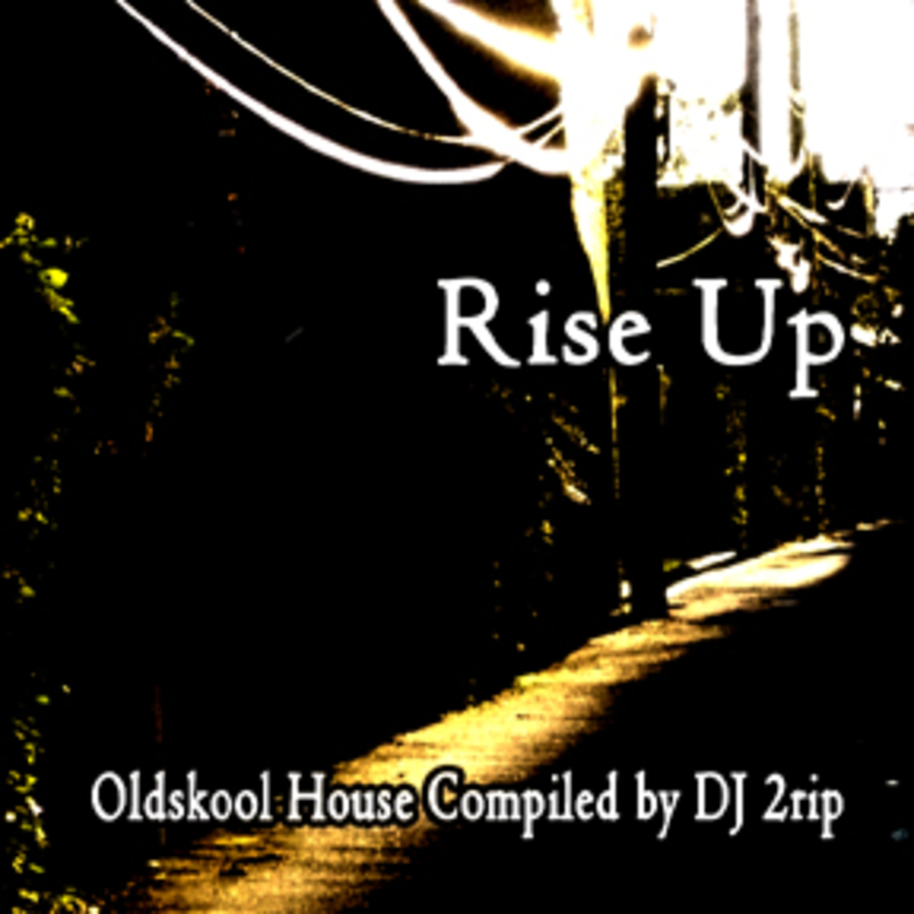 DJ 2rip