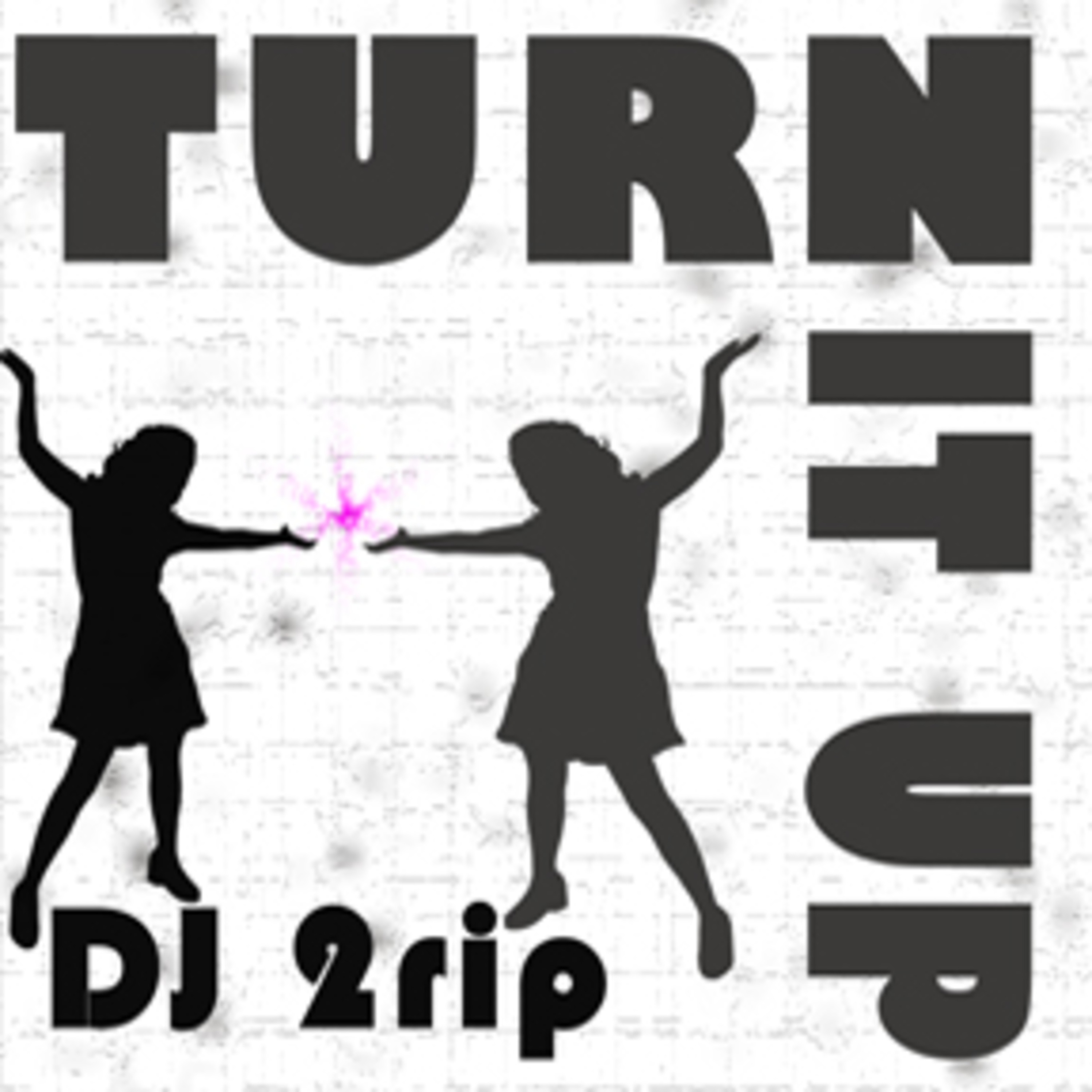 DJ 2rip
