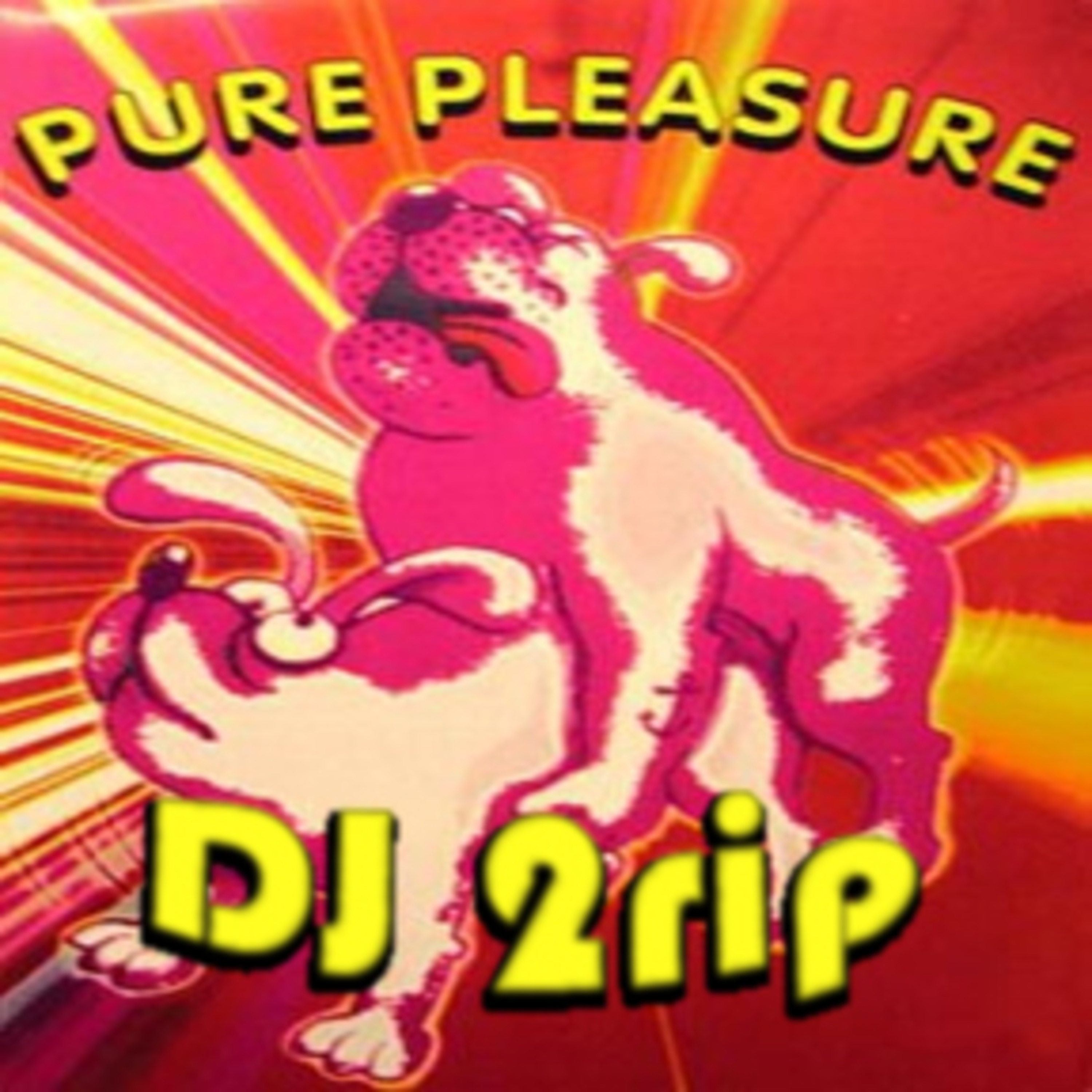 DJ 2rip