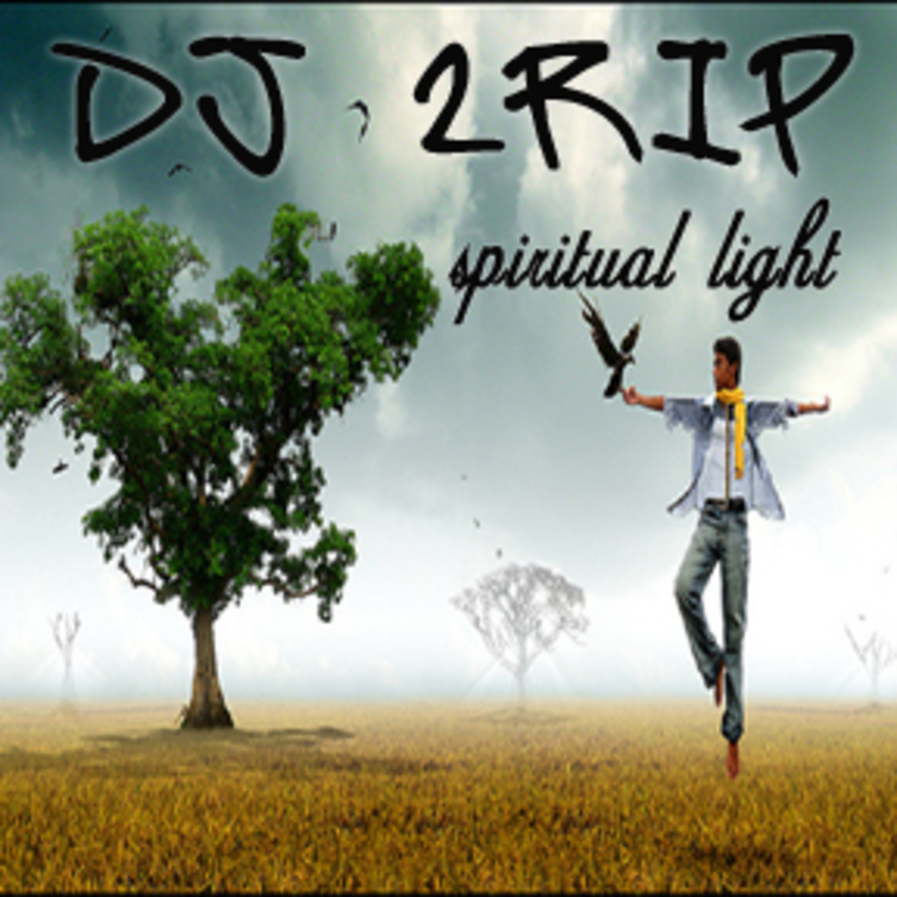 DJ 2rip