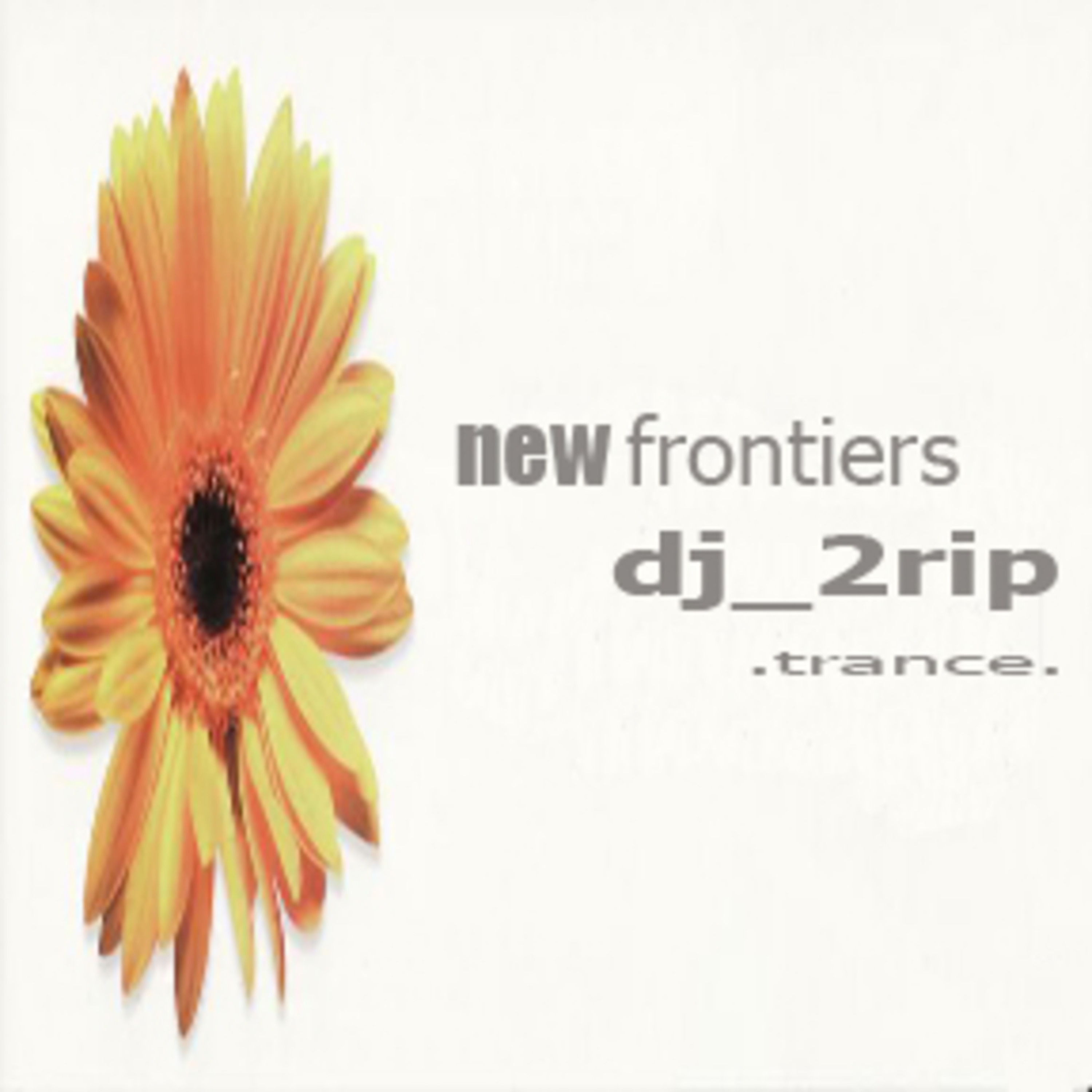 DJ 2rip