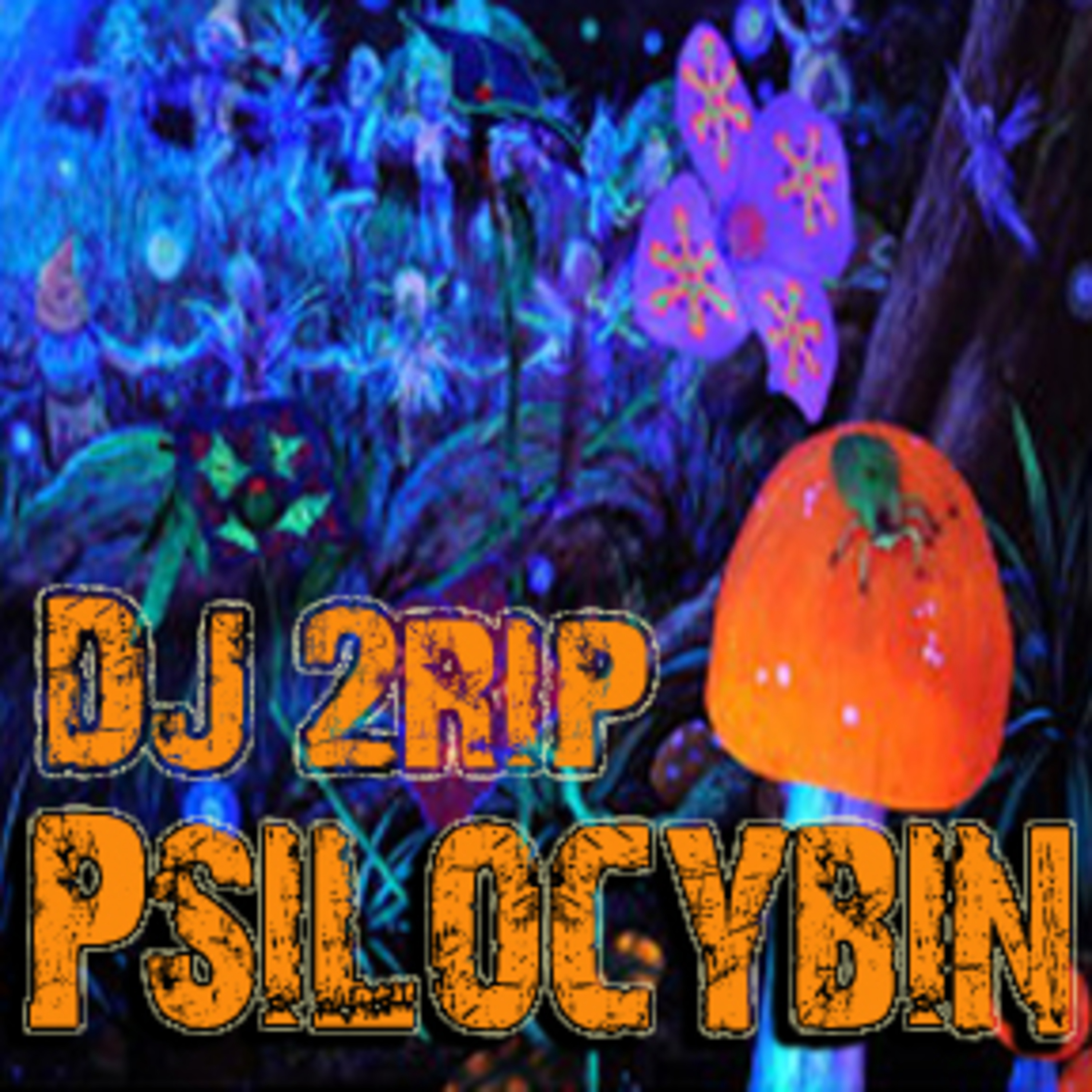 DJ 2rip