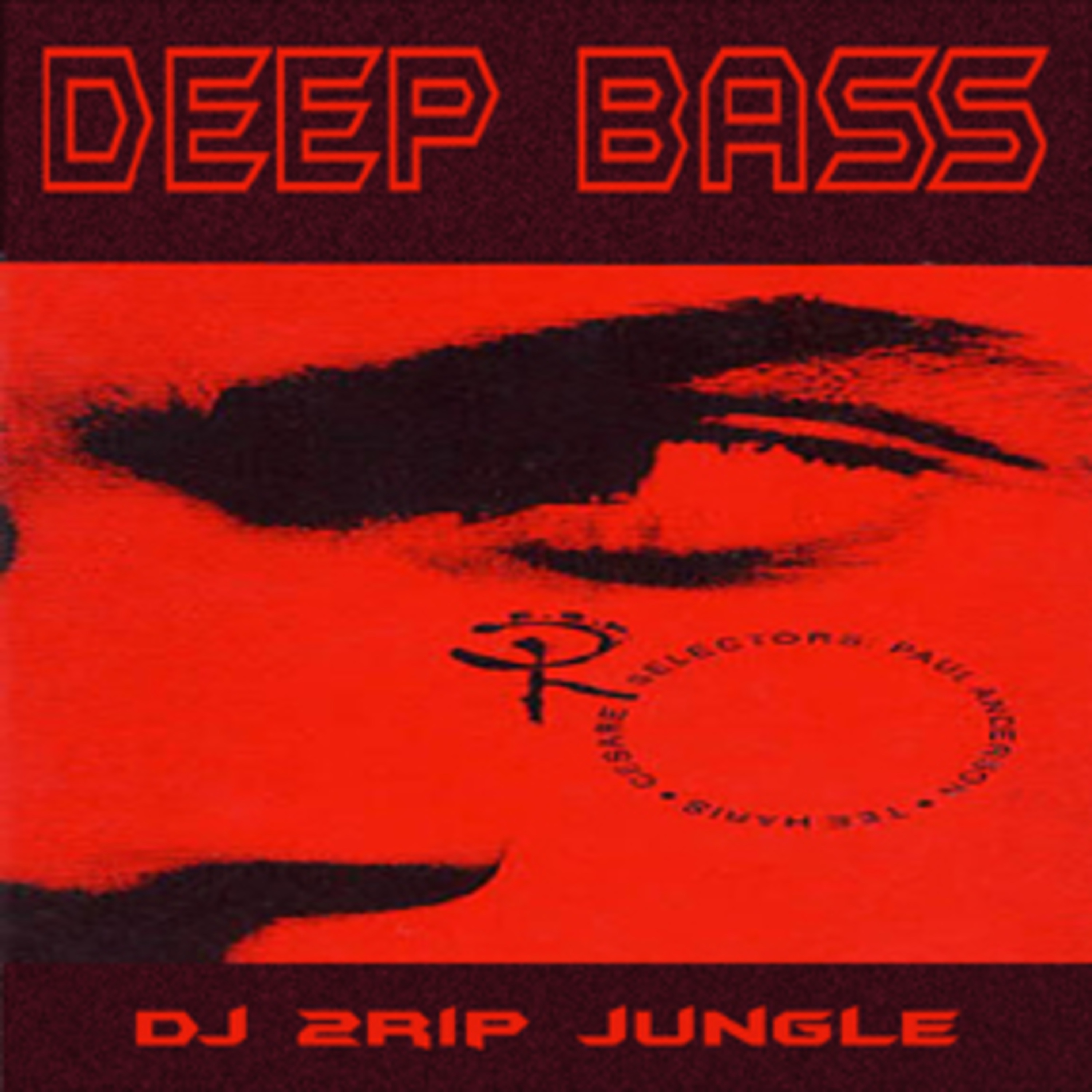 DJ 2rip