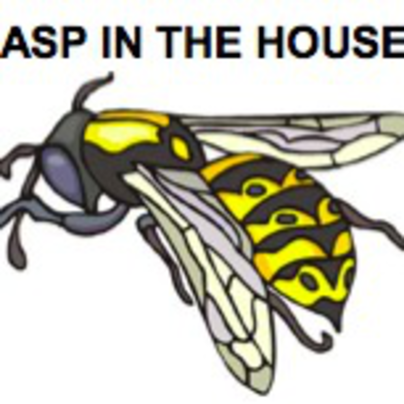 Fluency Practice:  Wasp in the House!