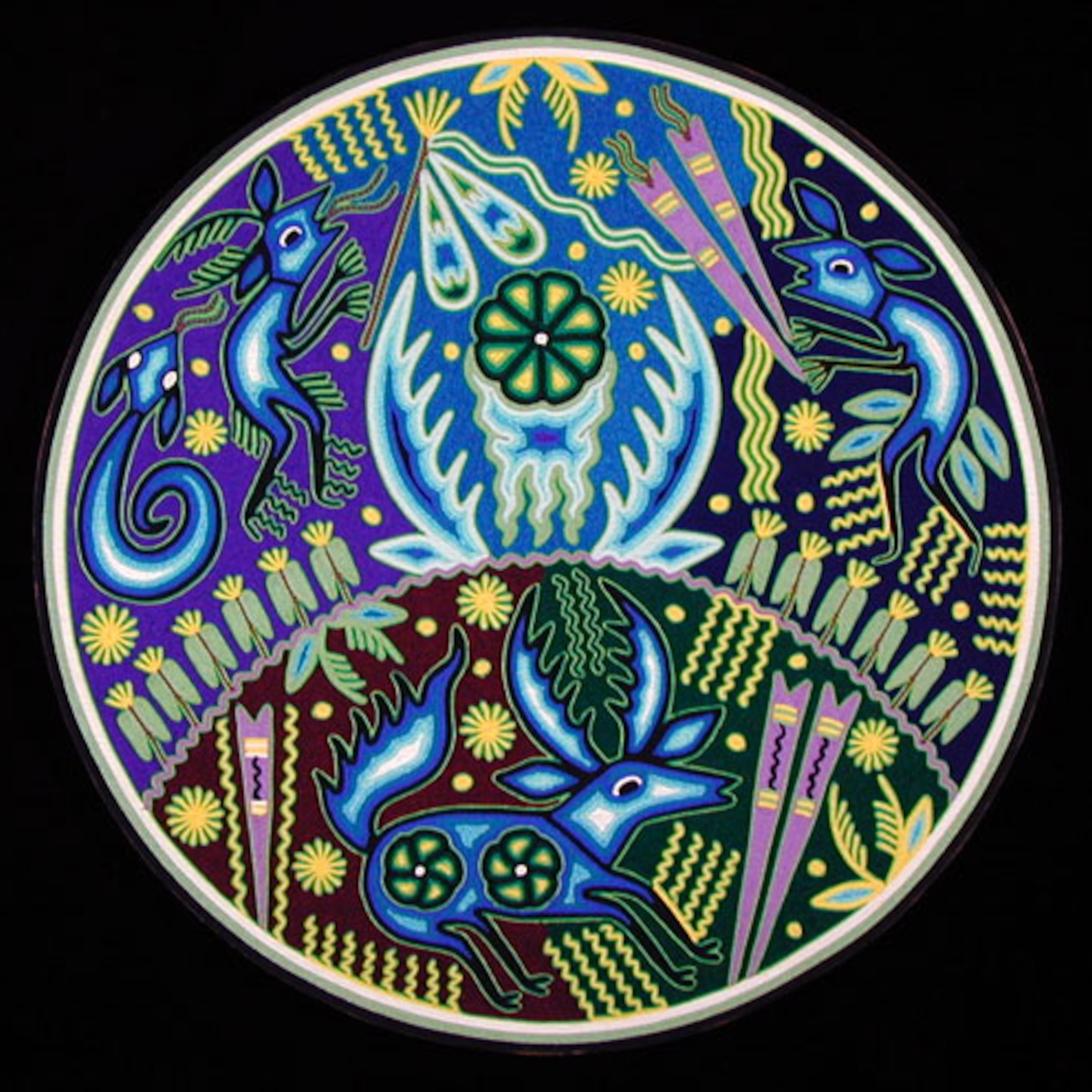 Chronicles of the Psychonautilus