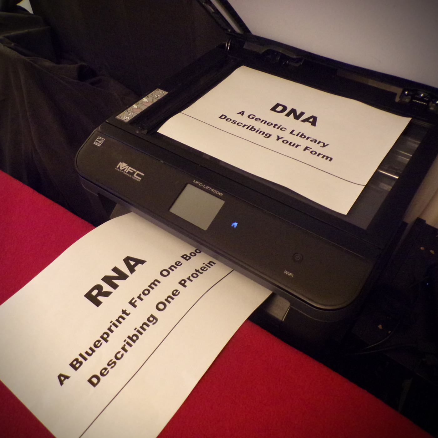 The Second Society Project of the Third Millennium